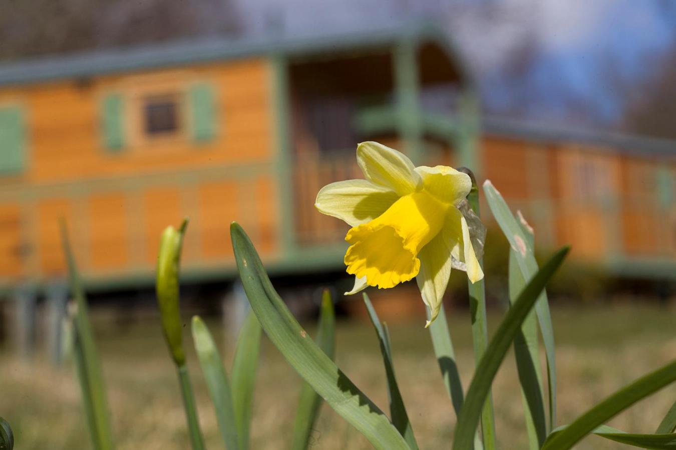 Vacation Home - Photo 3