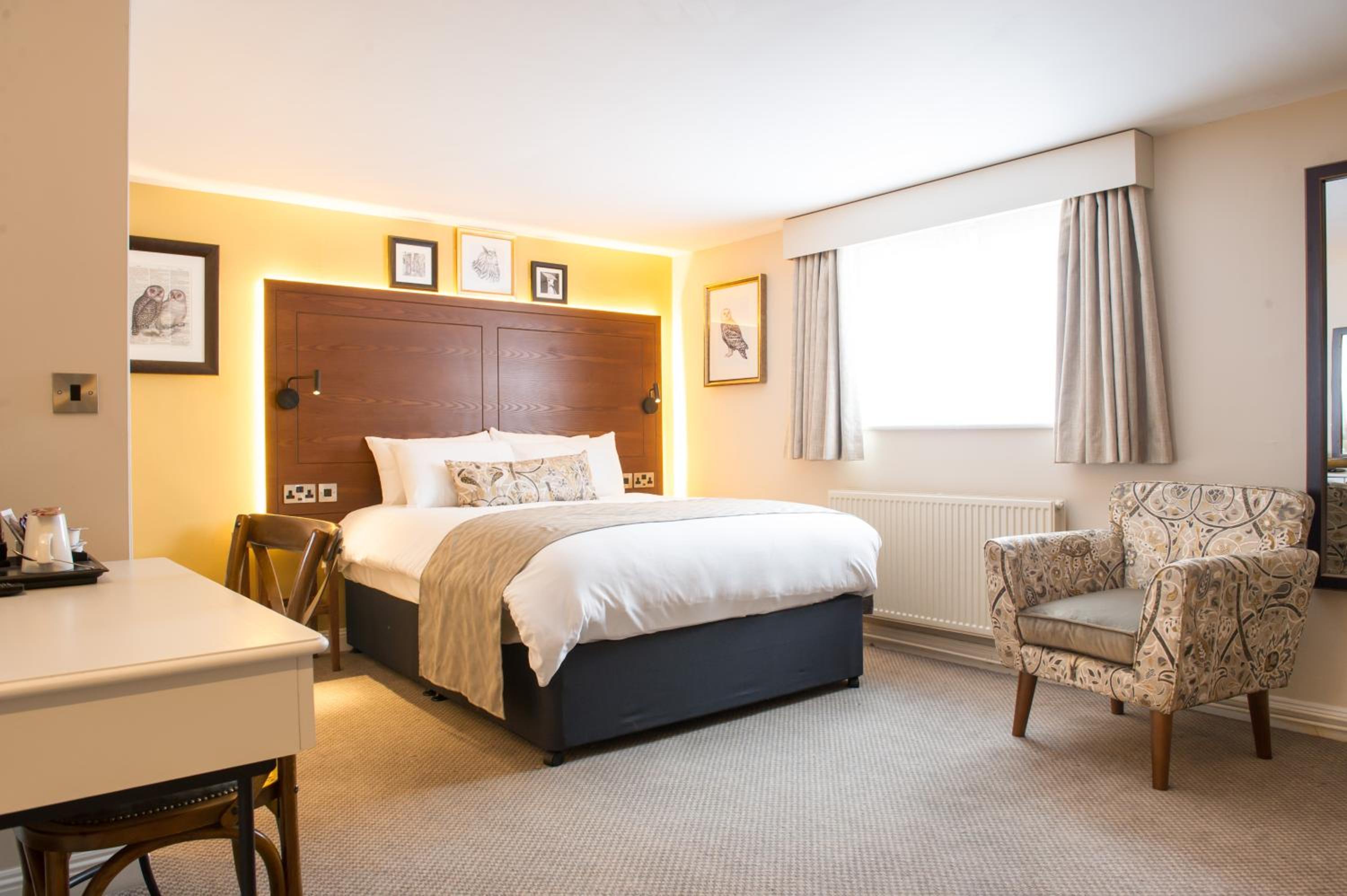 Double Room - Disability Access photo 3