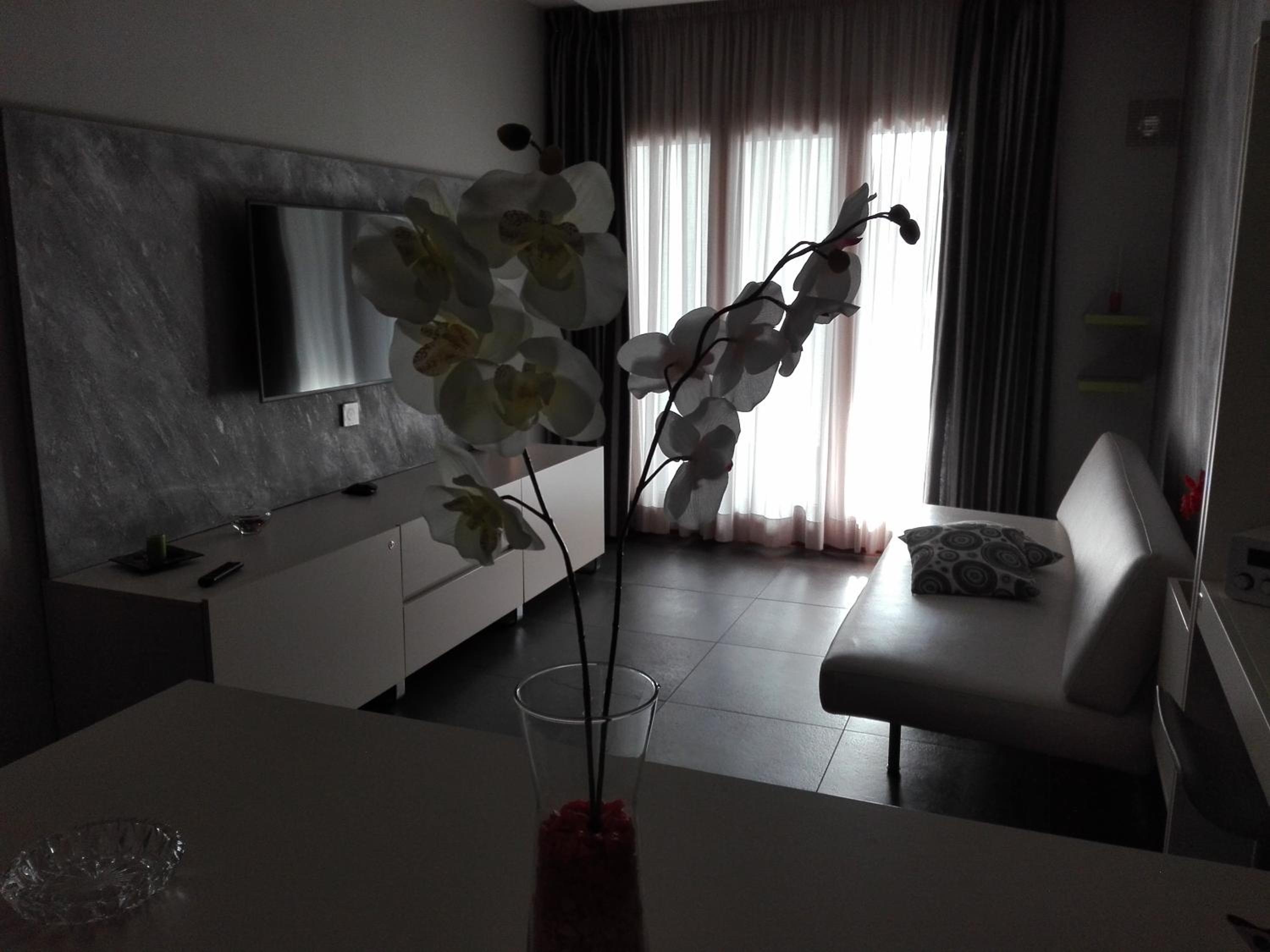 Deluxe Apartment - Photo 2