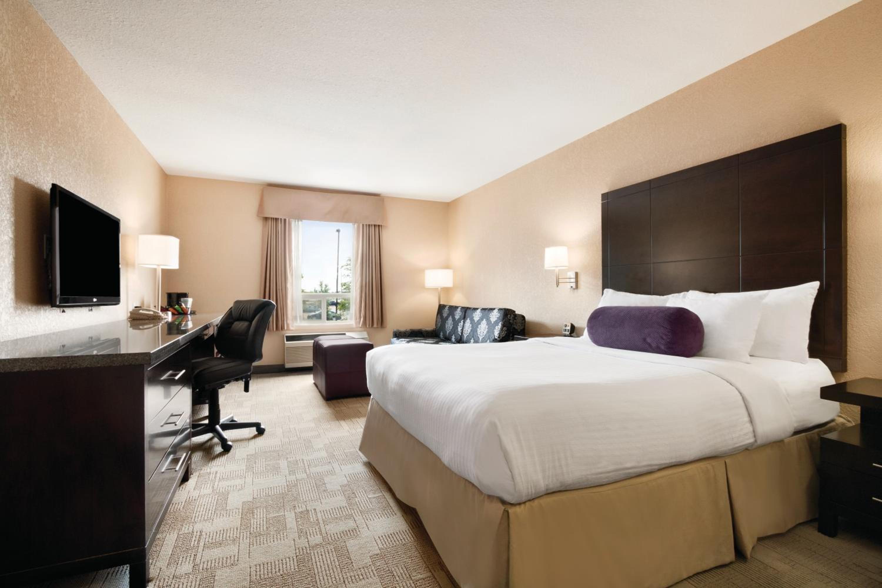 Queen Room with Sofa Bed - Disability Access/Non-Smoking photo 1
