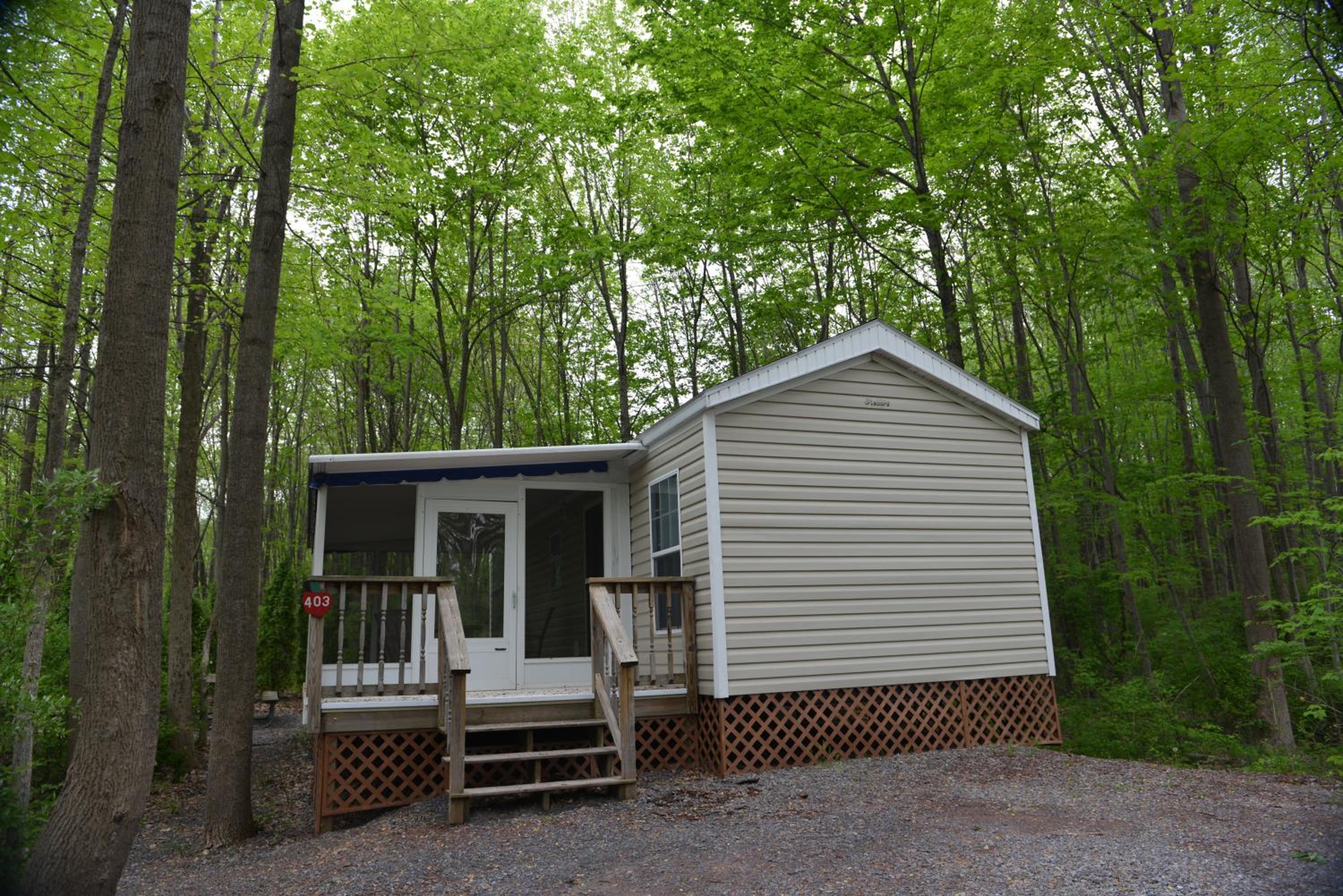 One-Bedroom Cottage photo 2