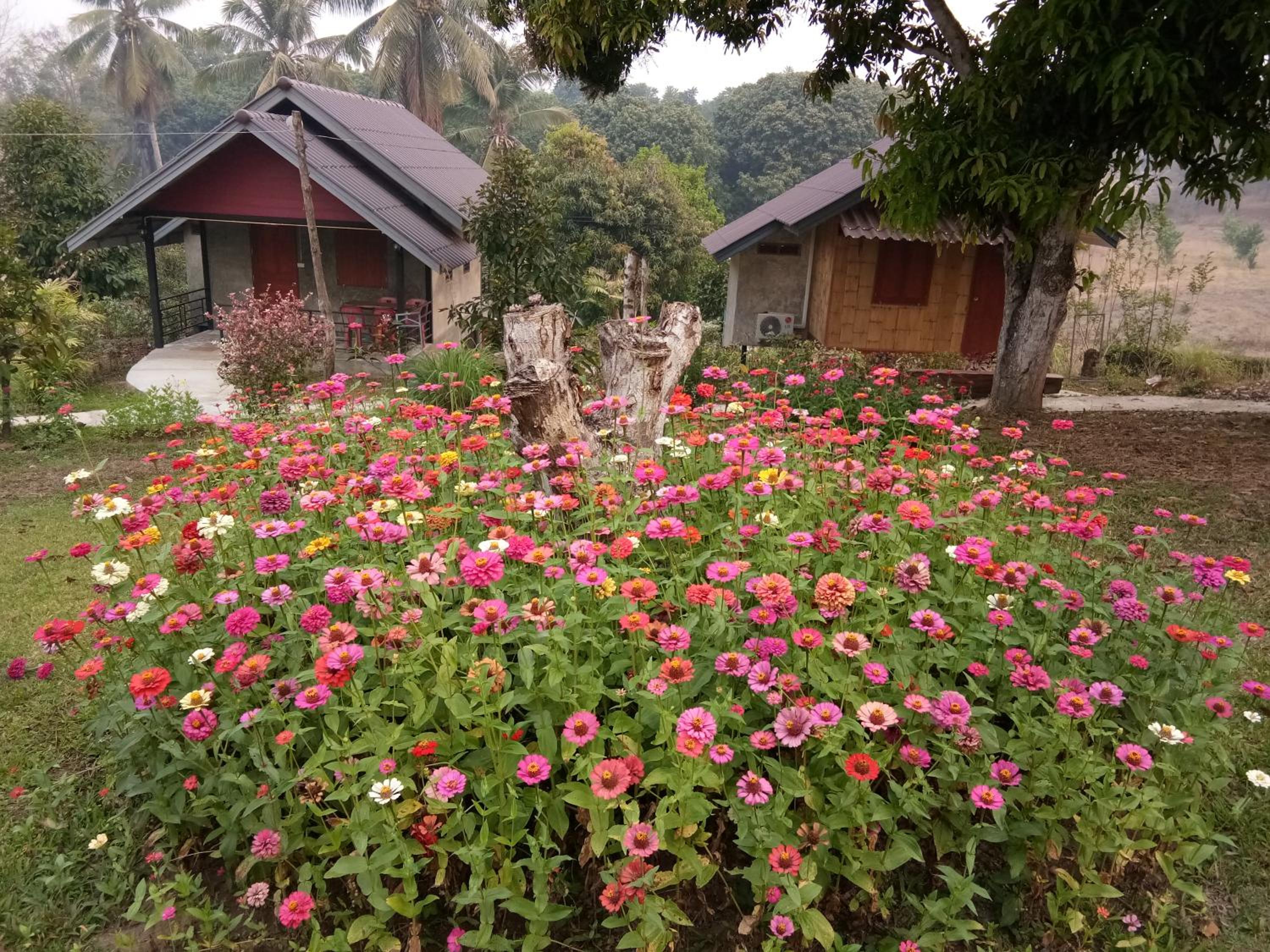 Quadruple Room with Garden View - Photo 8