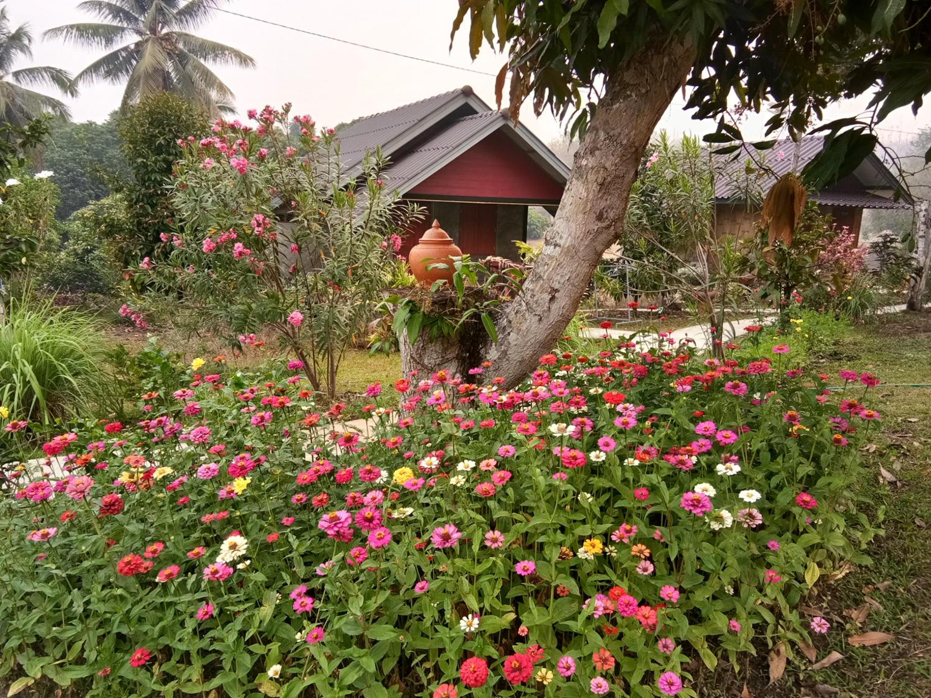 Quadruple Room with Garden View - Photo 9