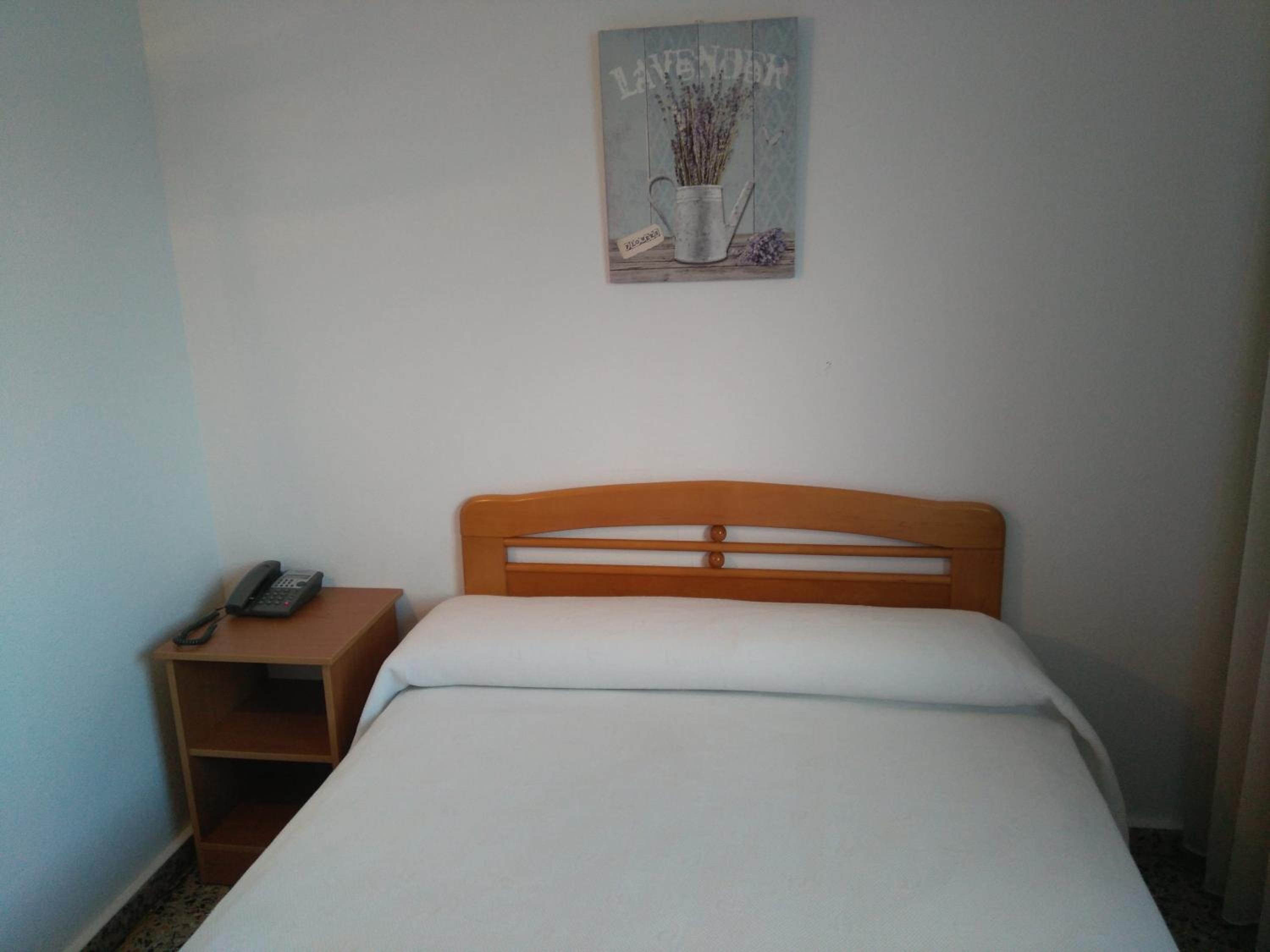Single Room photo 2