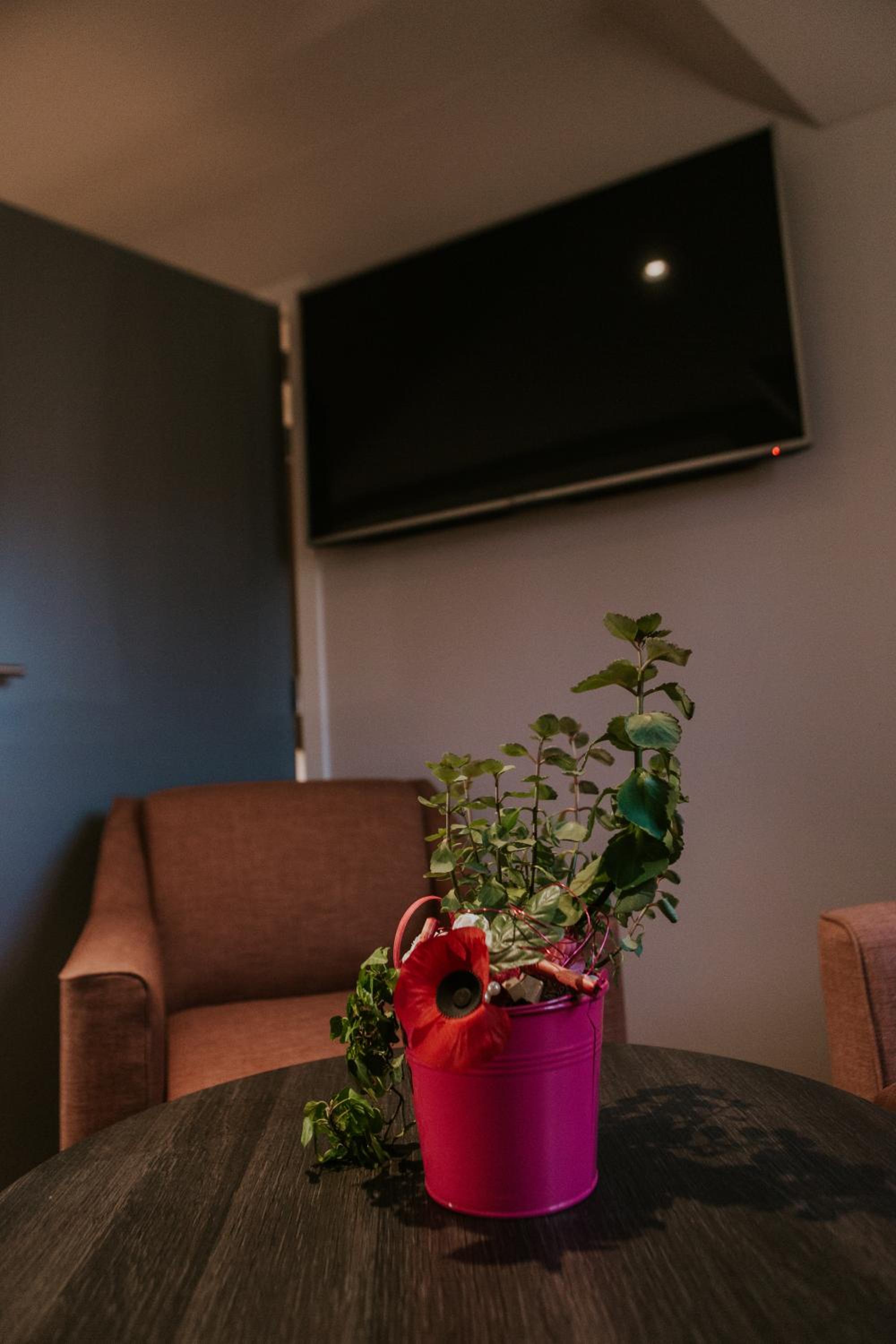 Standard Suite - Photo 7