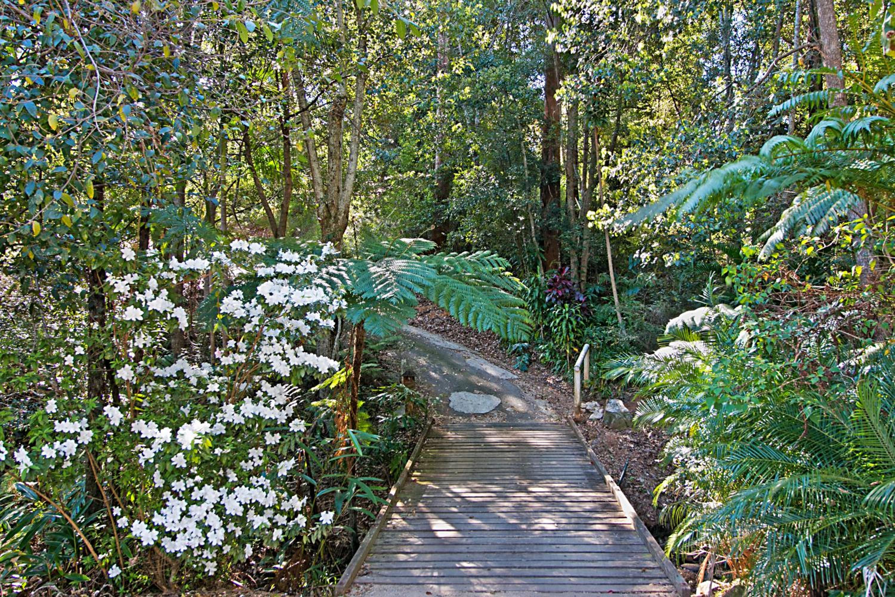 Rainforest One-Bedroom Cottage with Hot Tub photo 3