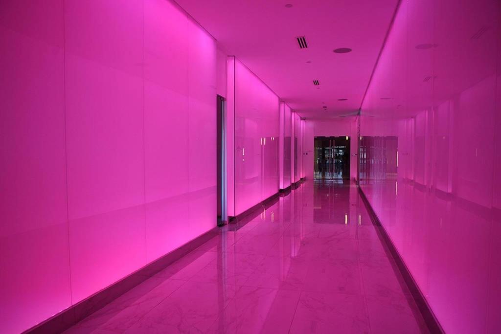 One-Bedroom Apartment - Photo 12