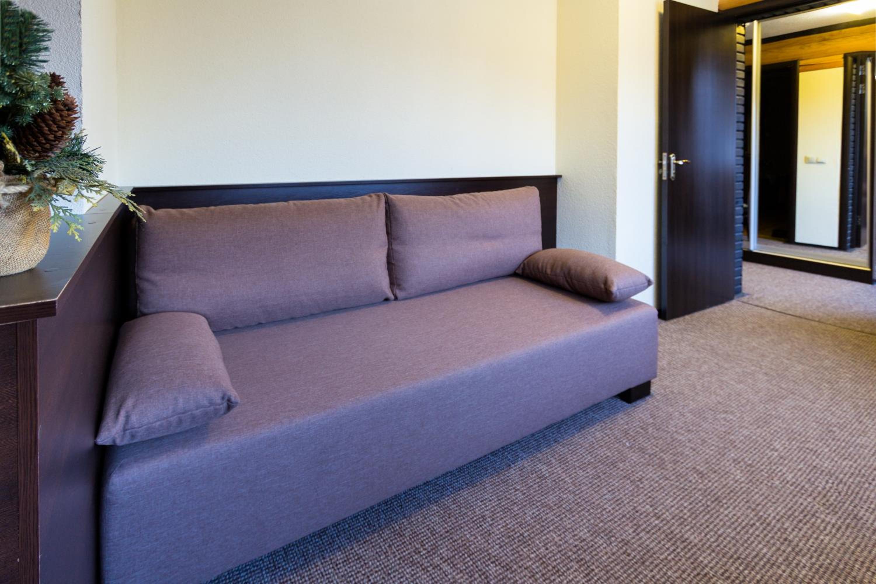 Two-Bedroom Suite with Sofa Bed photo 3