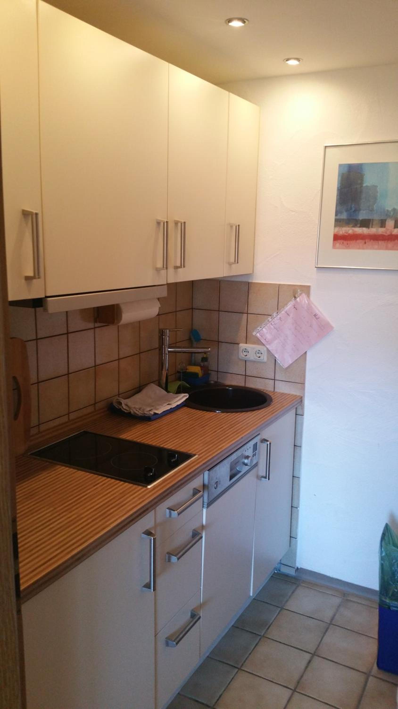Studio Apartment with Mountain View photo 3