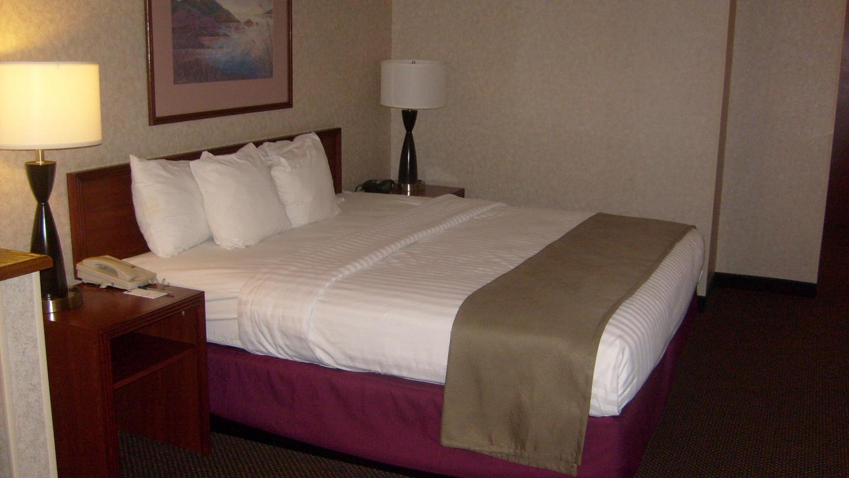 King Studio Suite - Non-Smoking - Photo 1