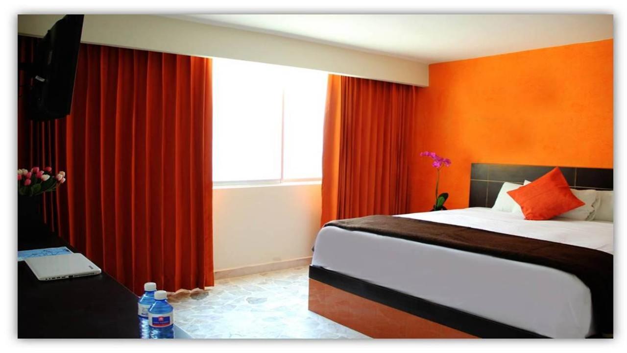 King Room - Photo 18