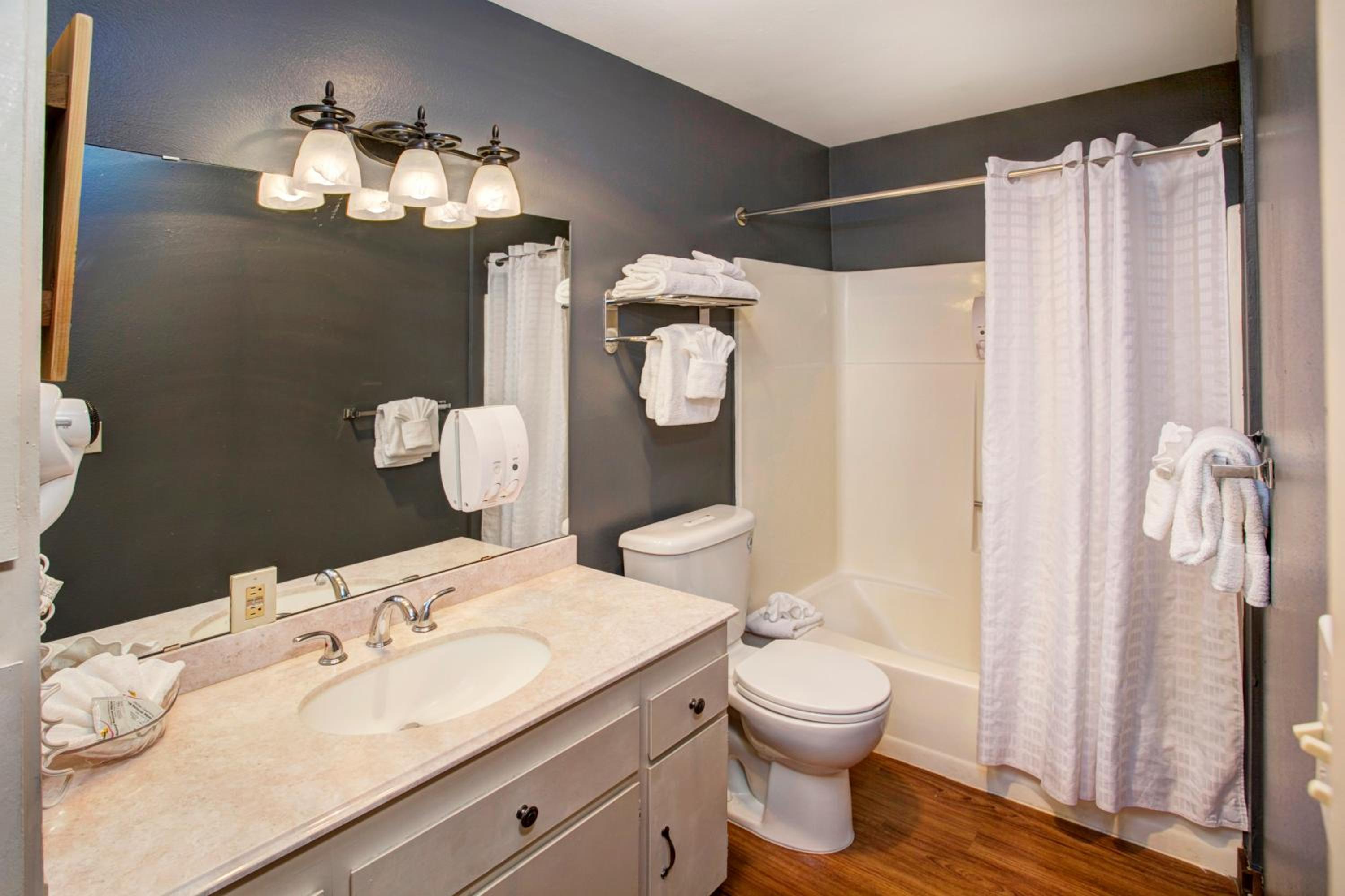 One-Bedroom Suite with Kitchen - Photo 8