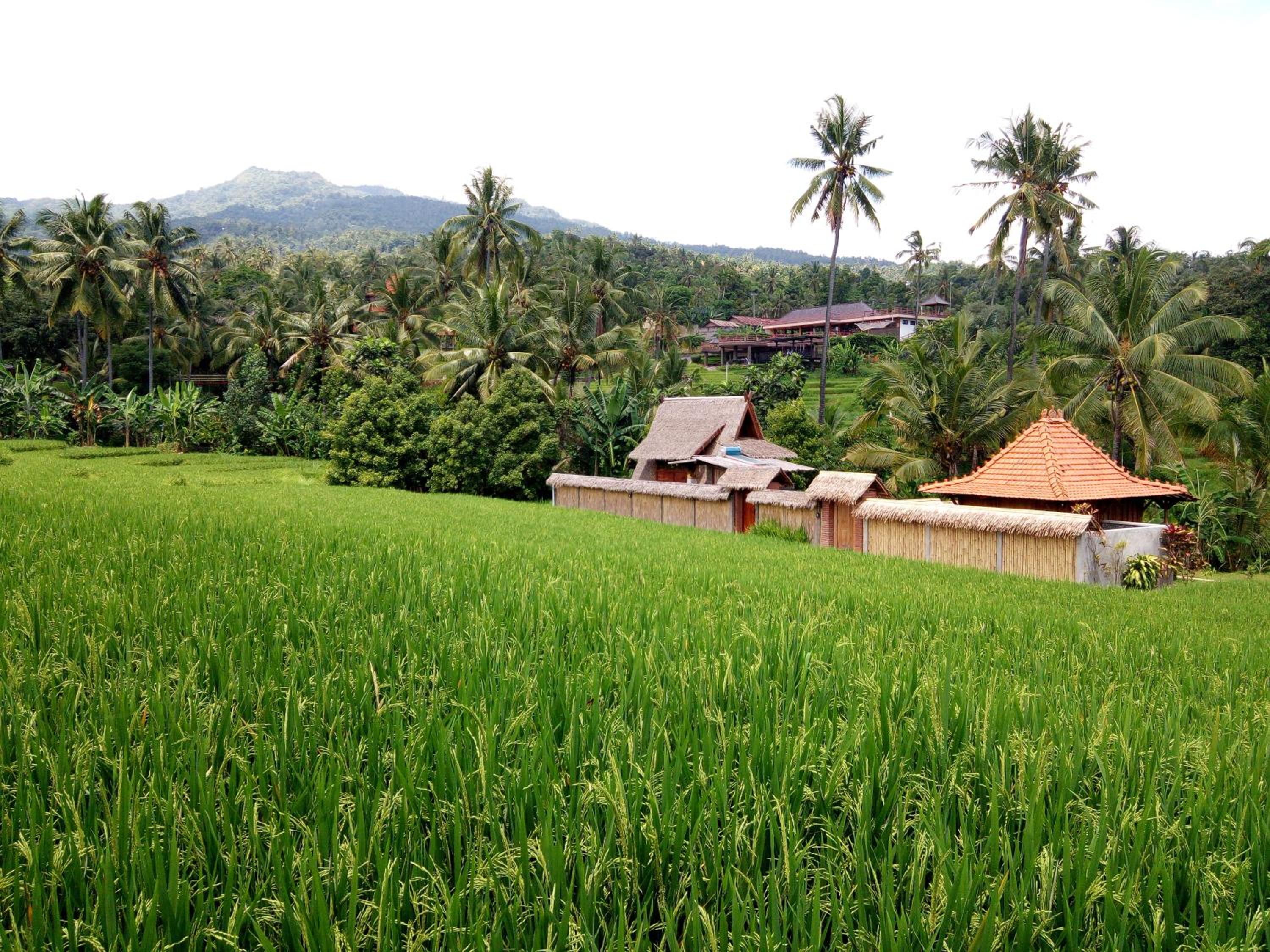 Double Room with Mountain View - Photo 6
