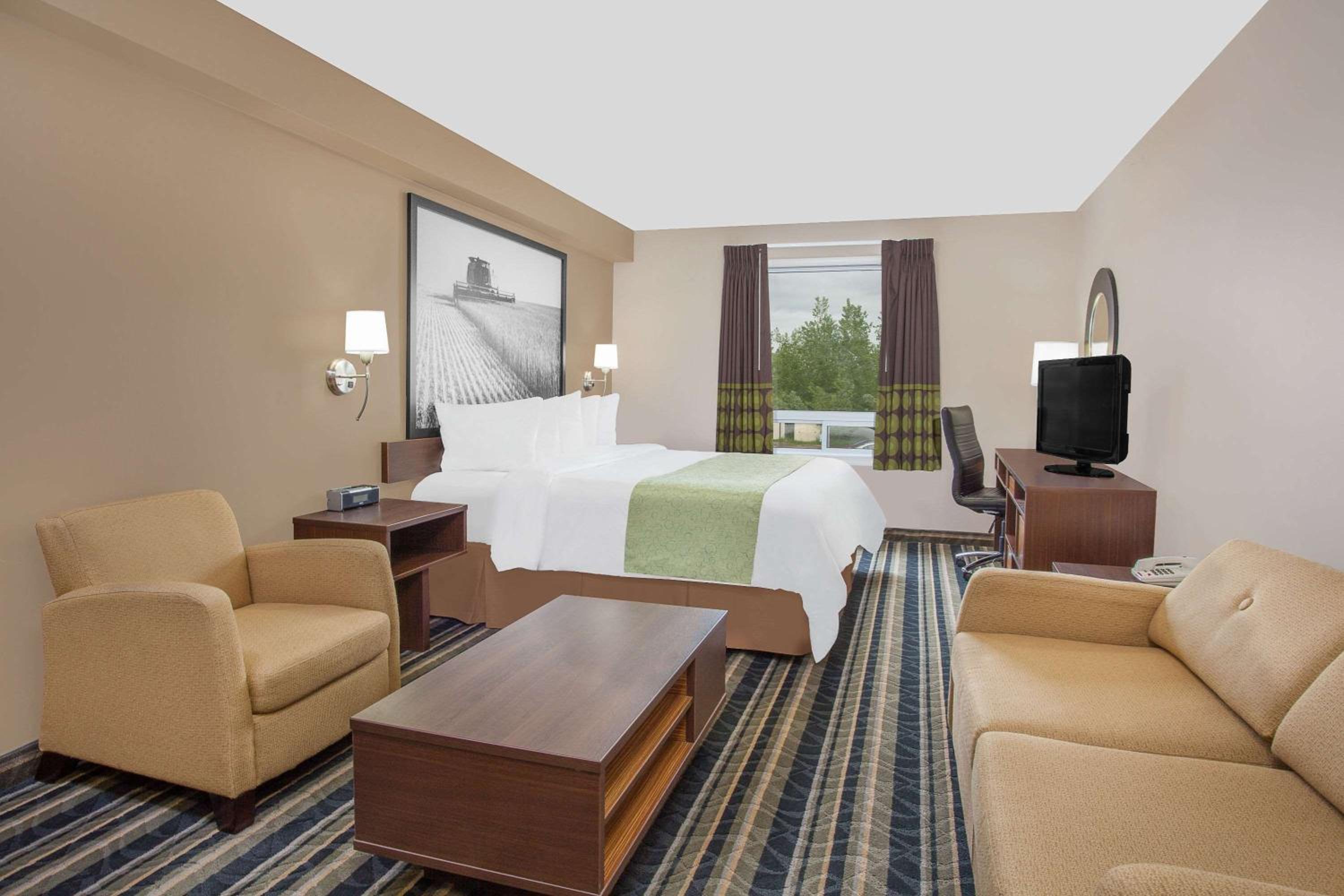 Business King Room