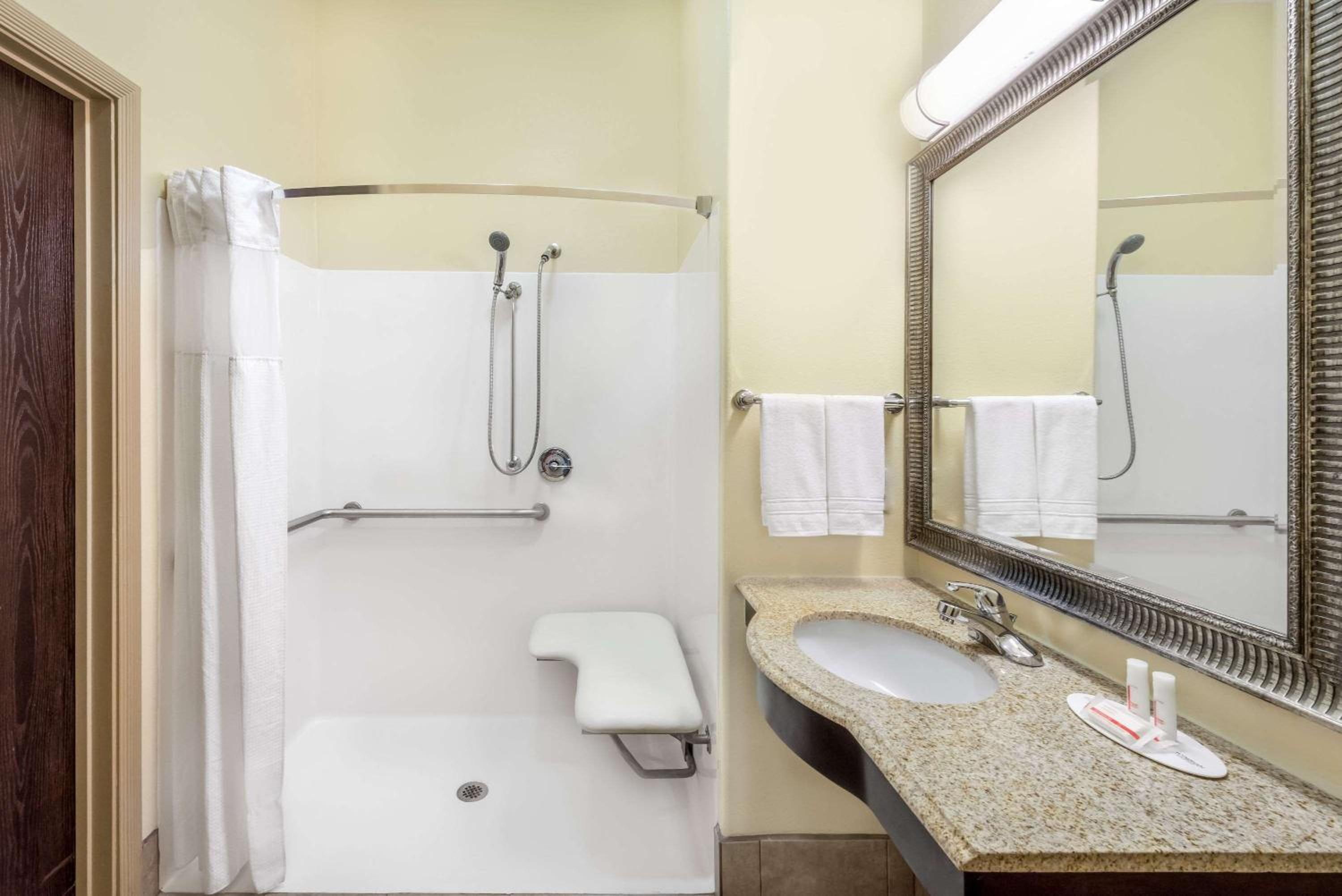 Queen Room with Roll-In Shower - Mobility/Hearing Accessible - Non-Smoking - Photo 2