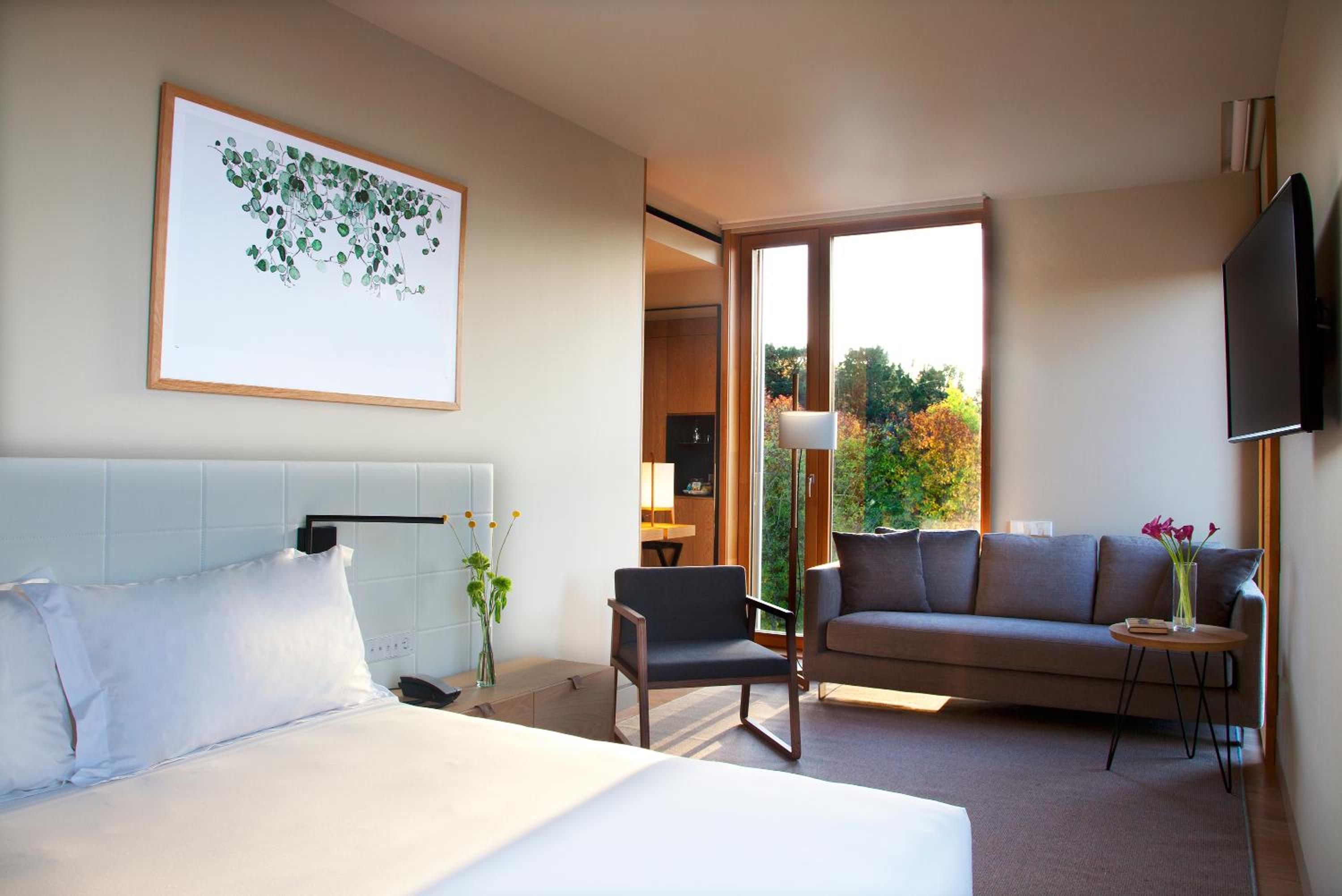 Suite Premium