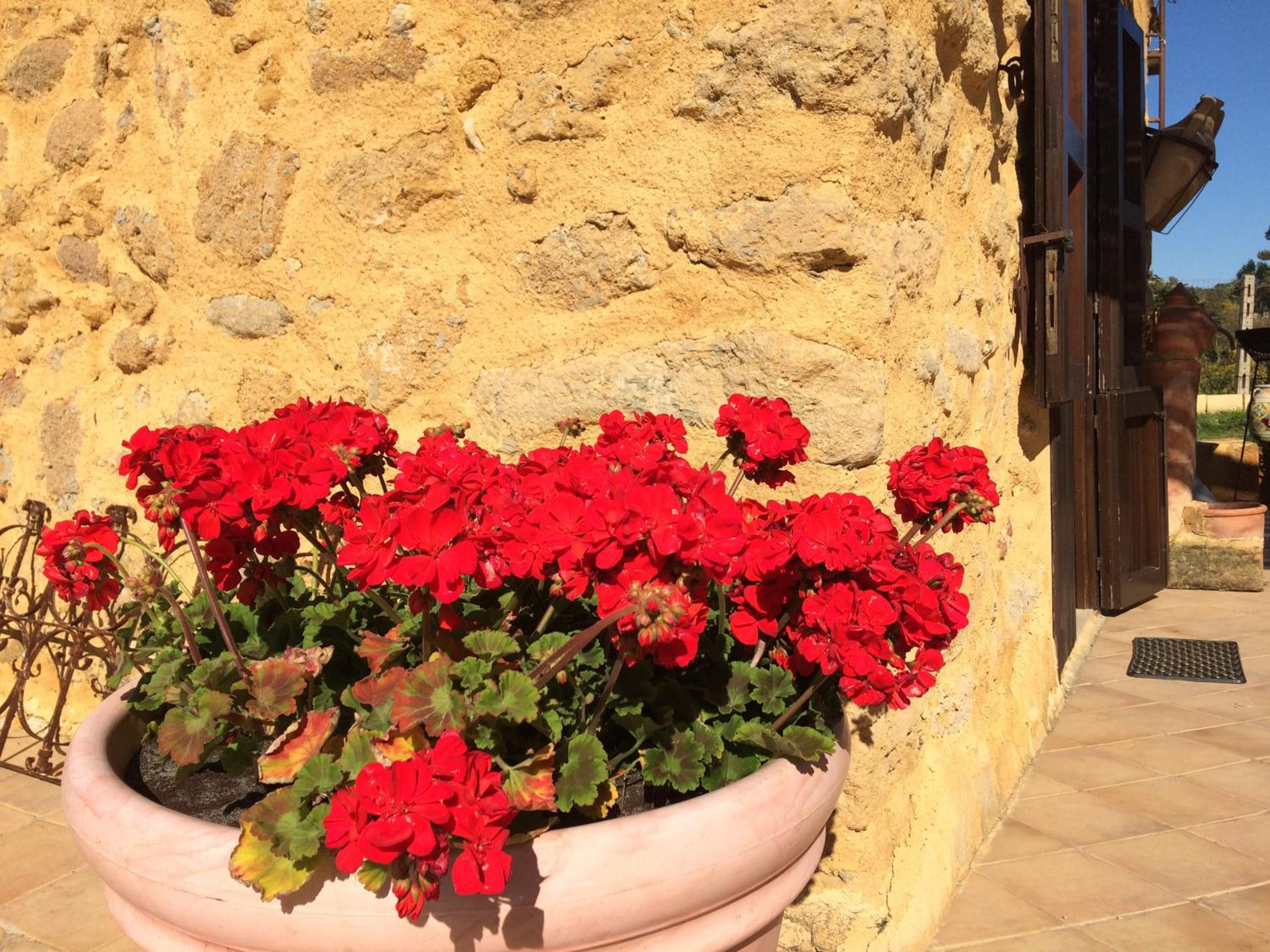Double Room - Photo 20