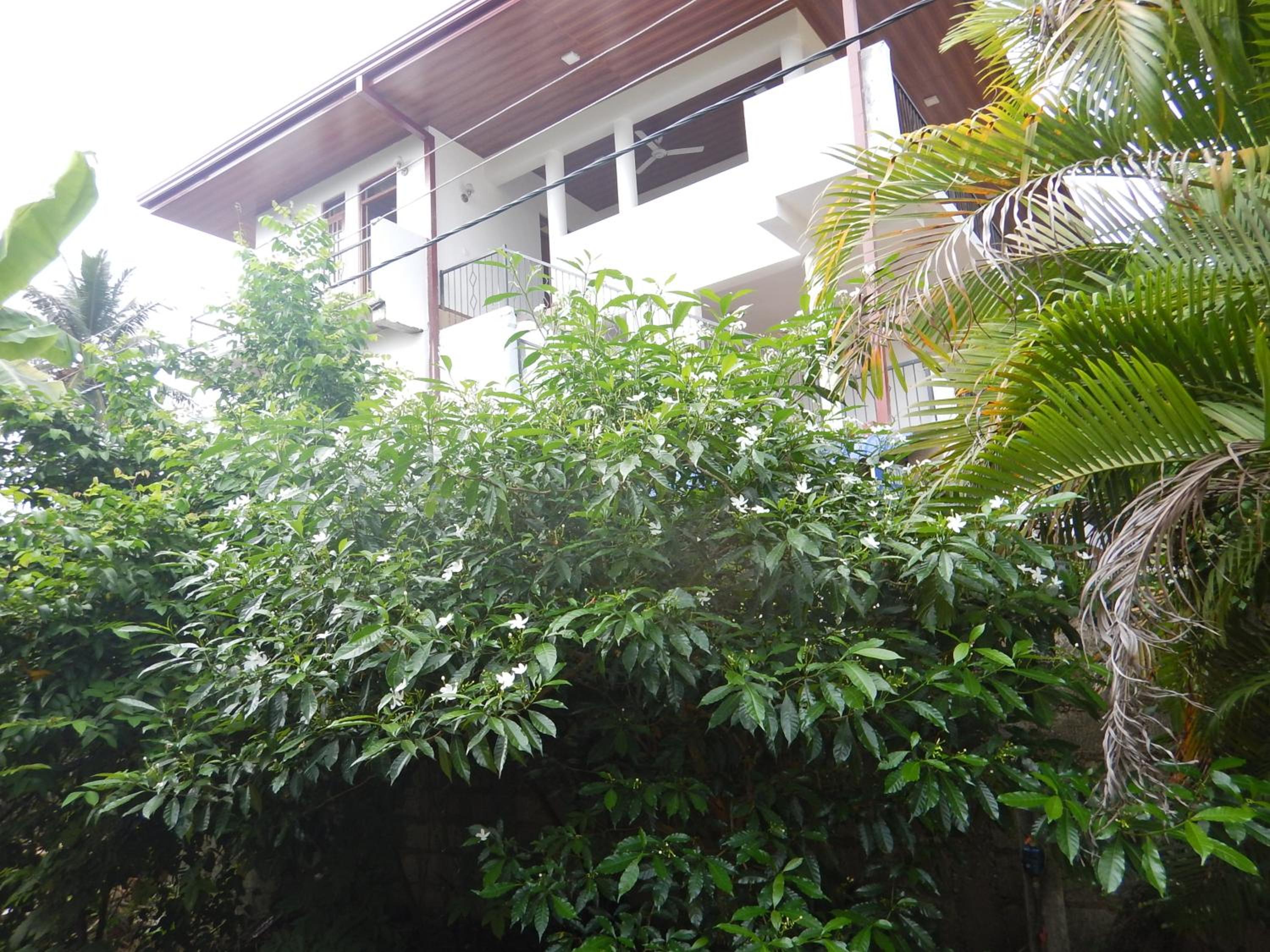 Family Room with Balcony photo 3
