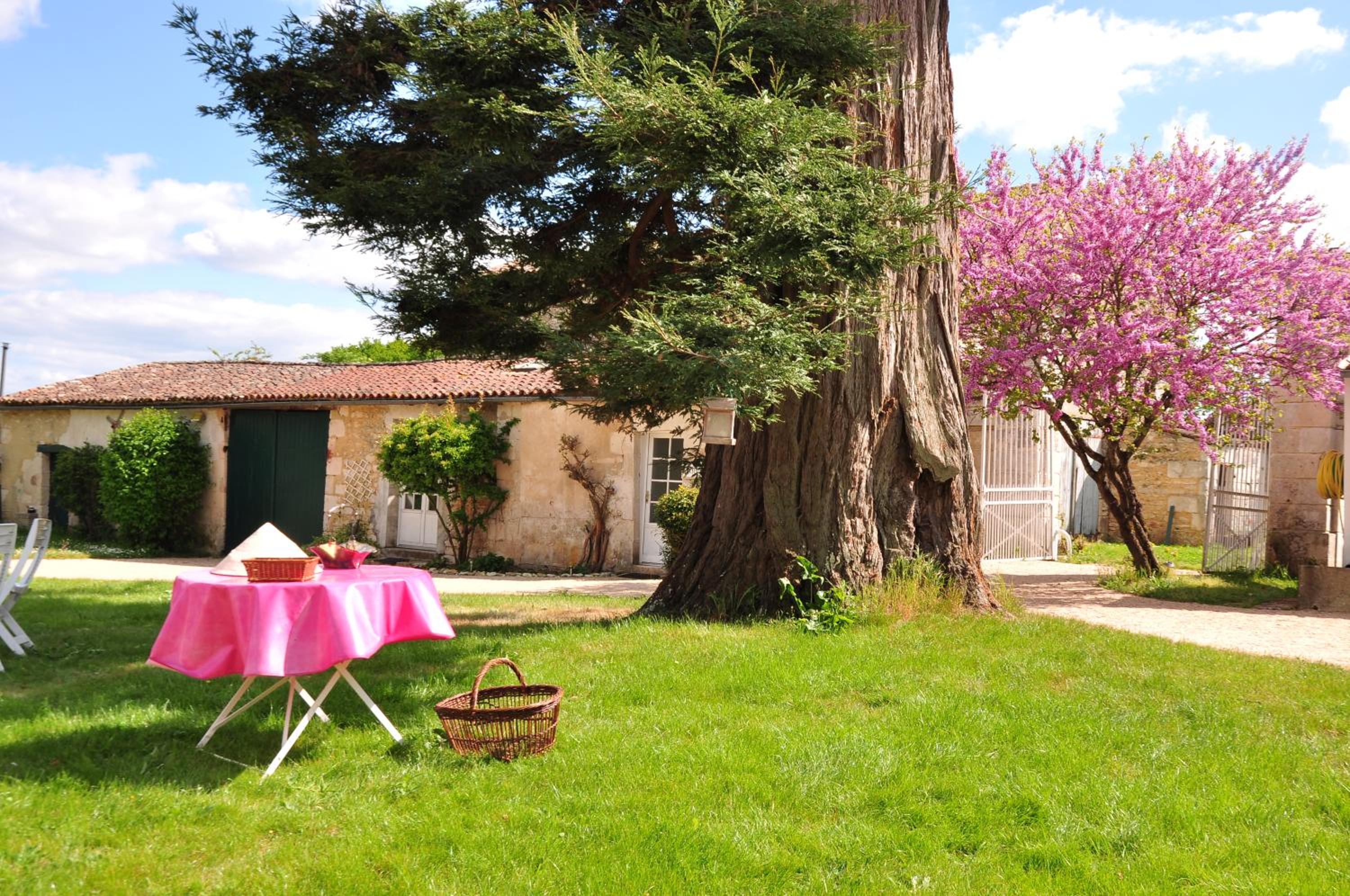 Quadruple Room with Garden View photo 1
