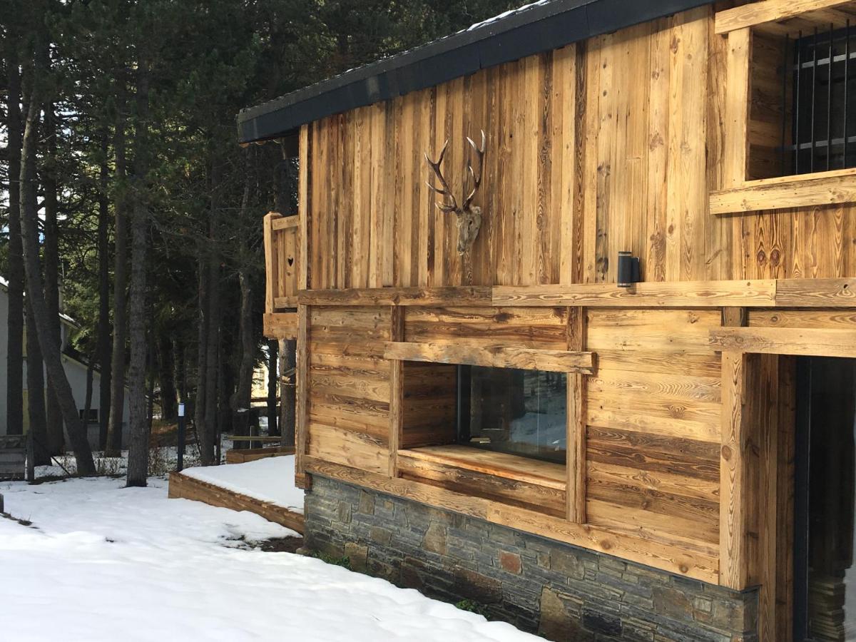 Chalet photo 1