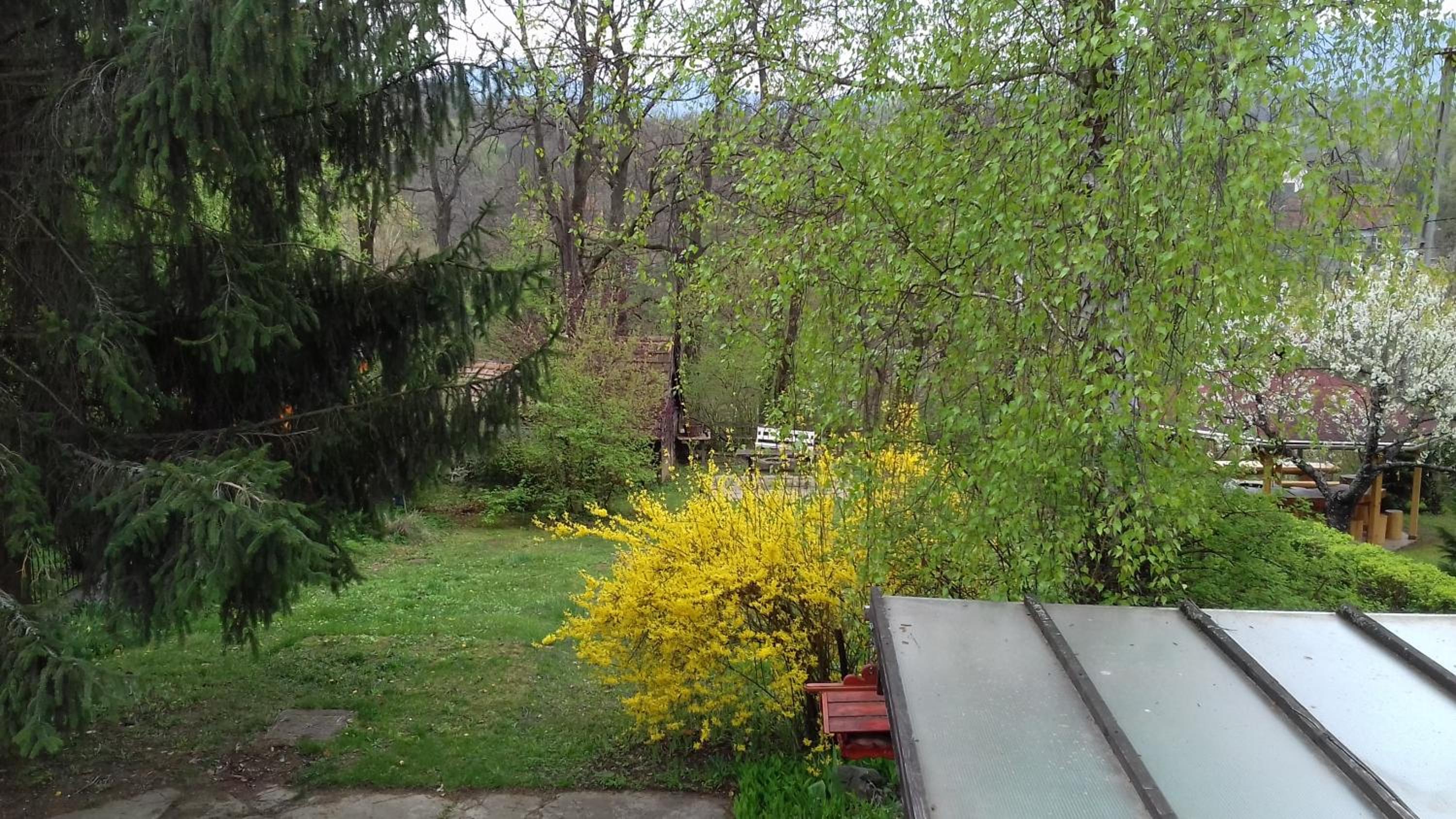 Apartment with Mountain View - Photo 18