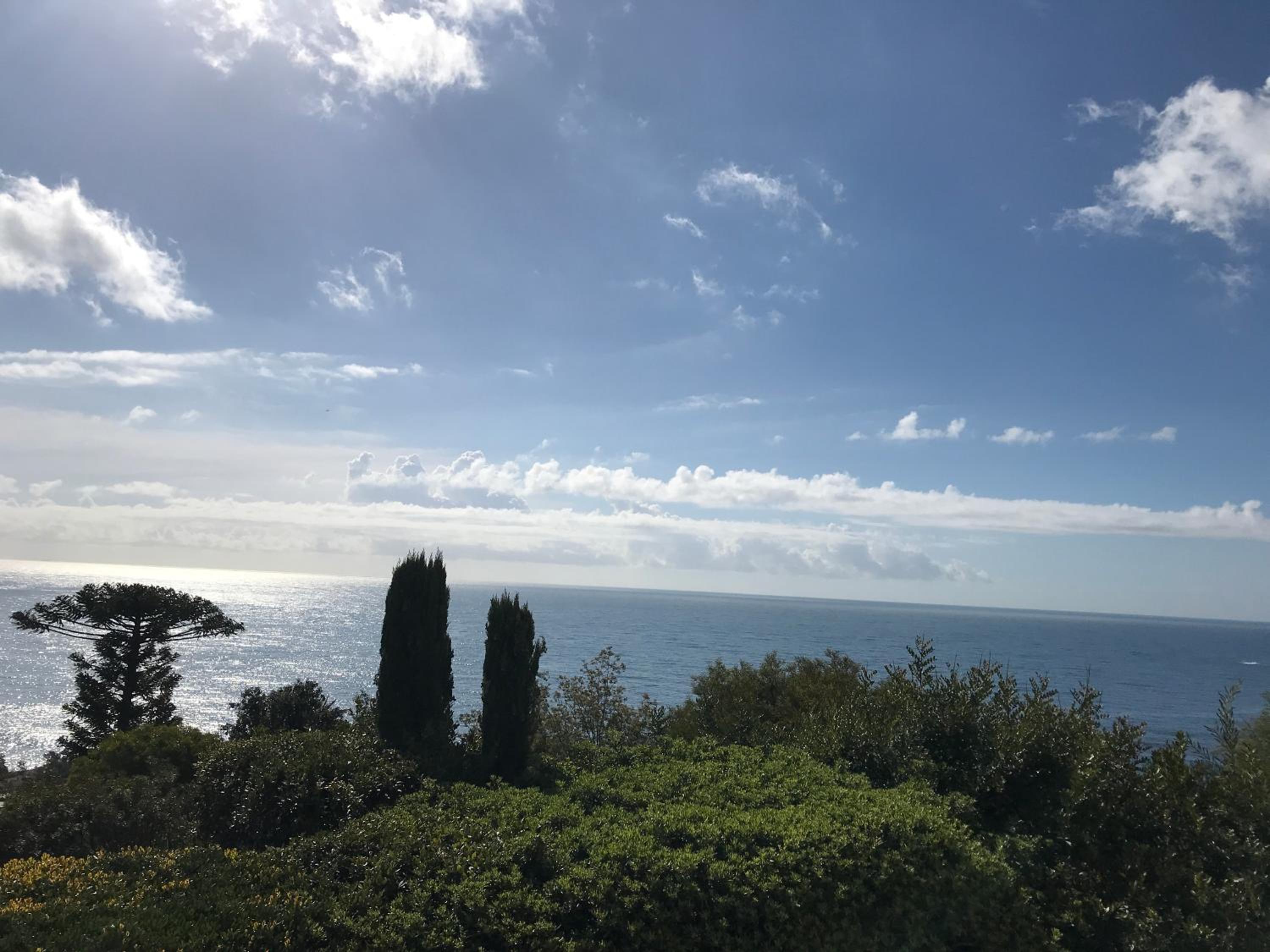 Apartment with Sea View photo 2