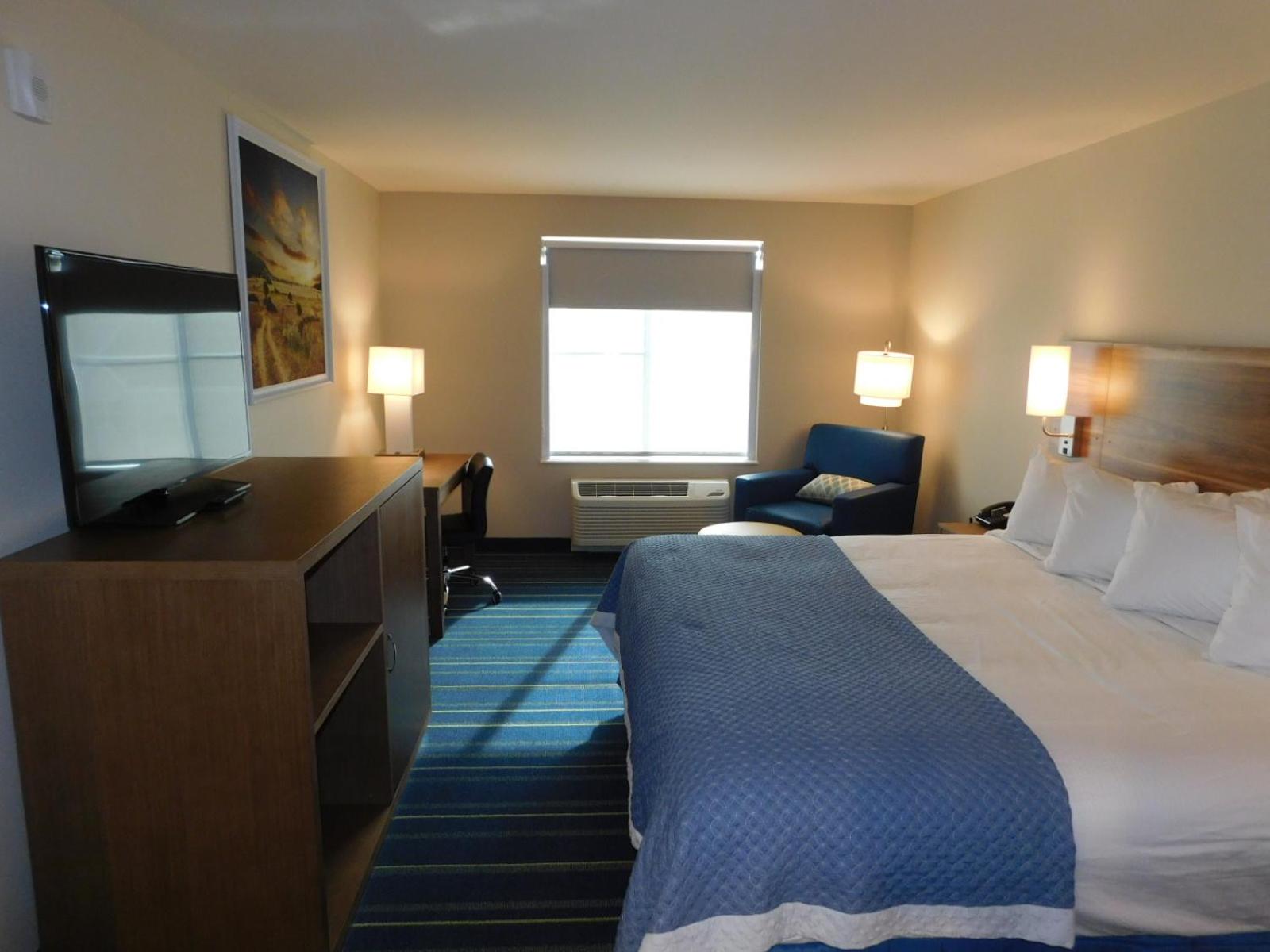King Suite with One King Bed and Bathtub with Grab Bars - Mobility Accessible - Non-Smoking