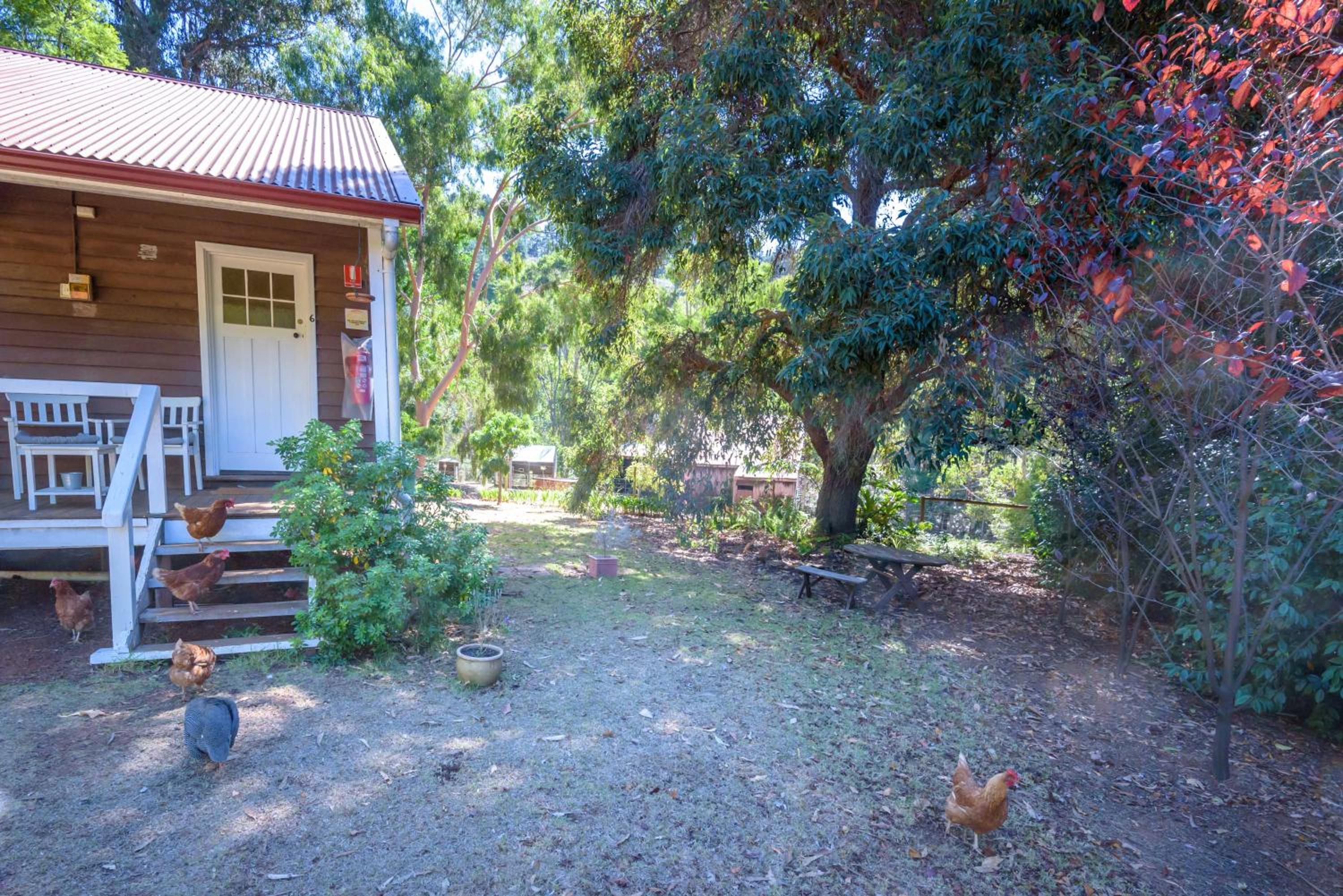 One-Bedroom House photo 2