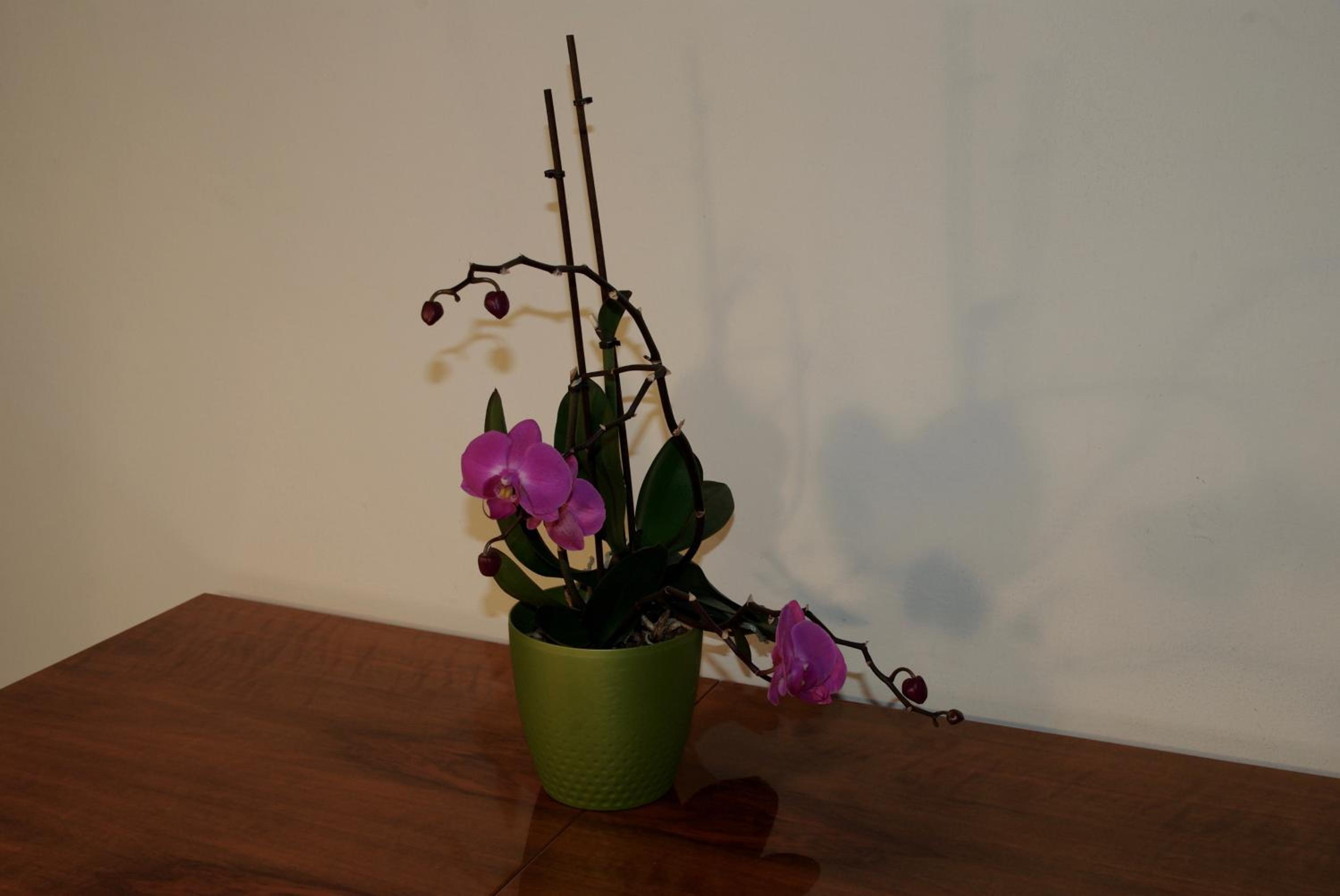 Double Room - Photo 5