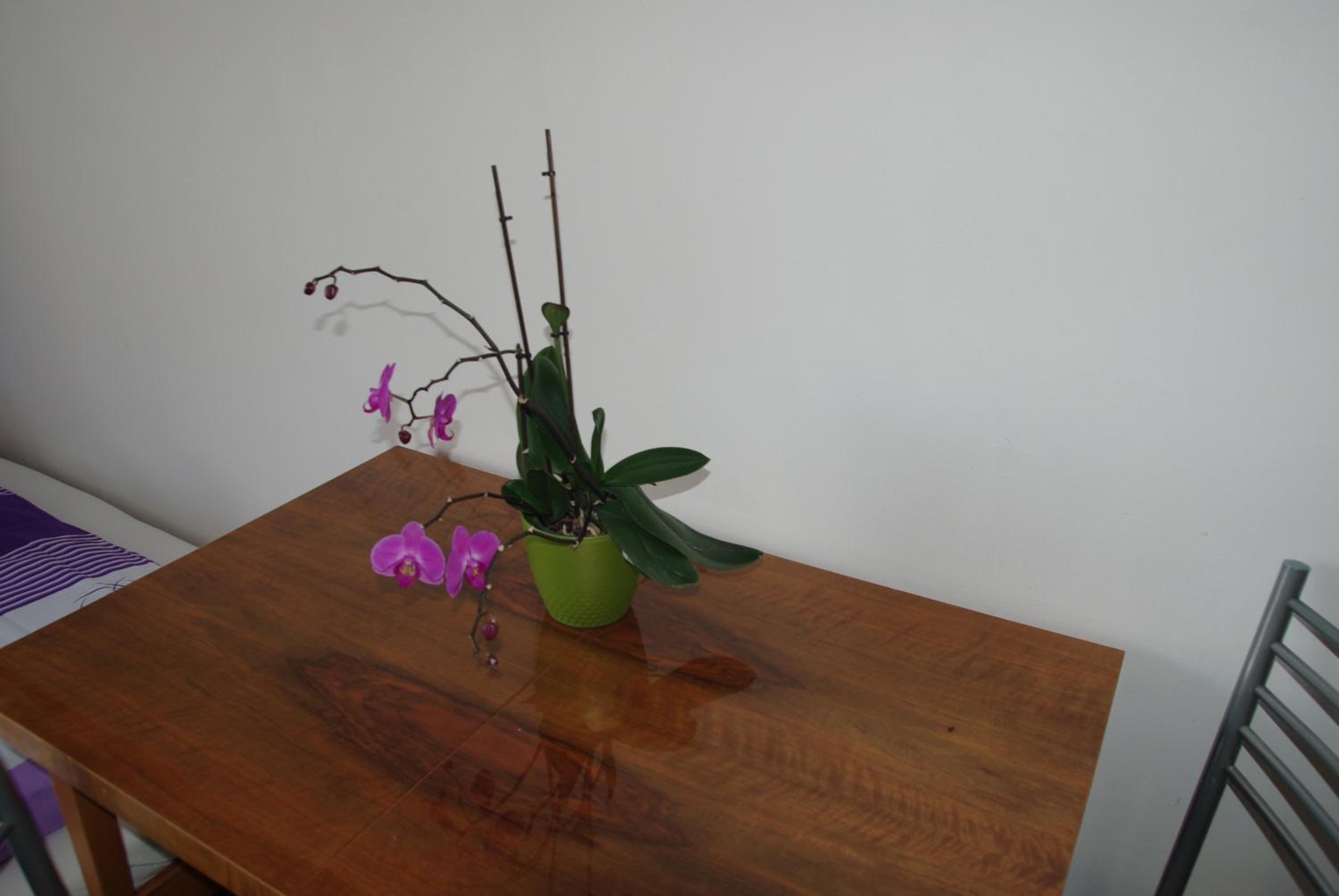 Double Room - Photo 16