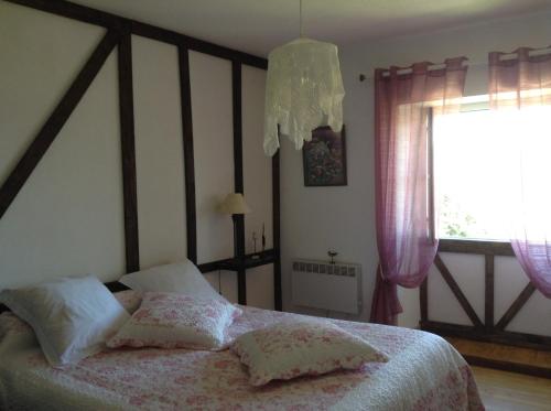 Double Room with Garden View photo 1
