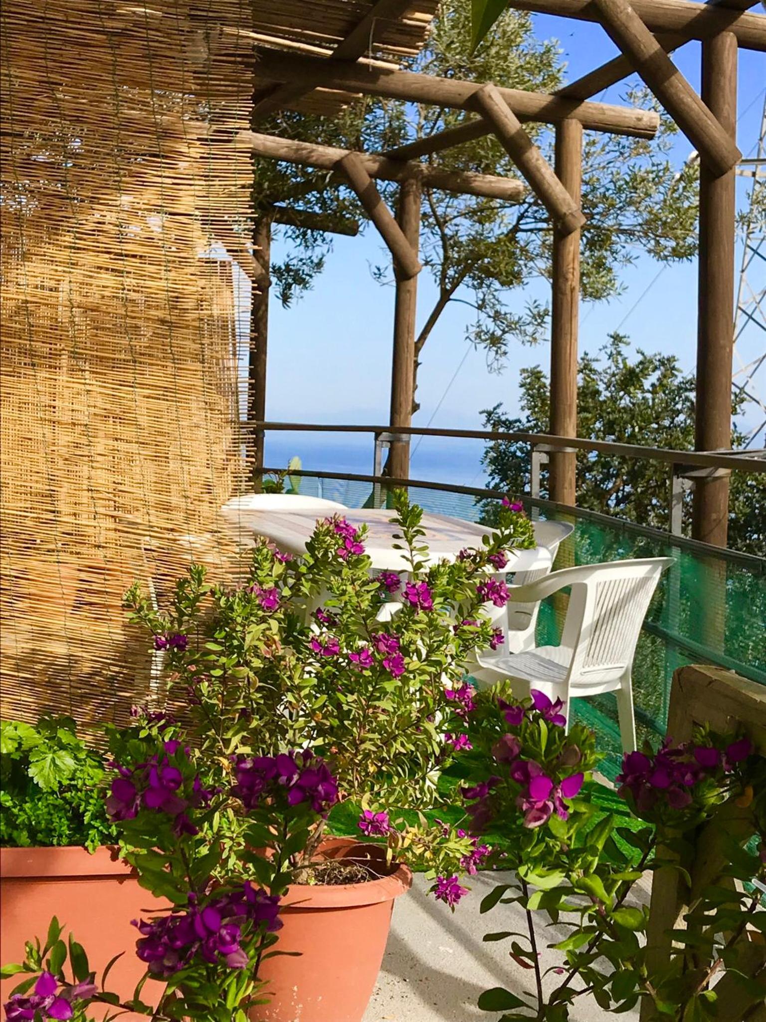 Apartment with Terrace photo 2
