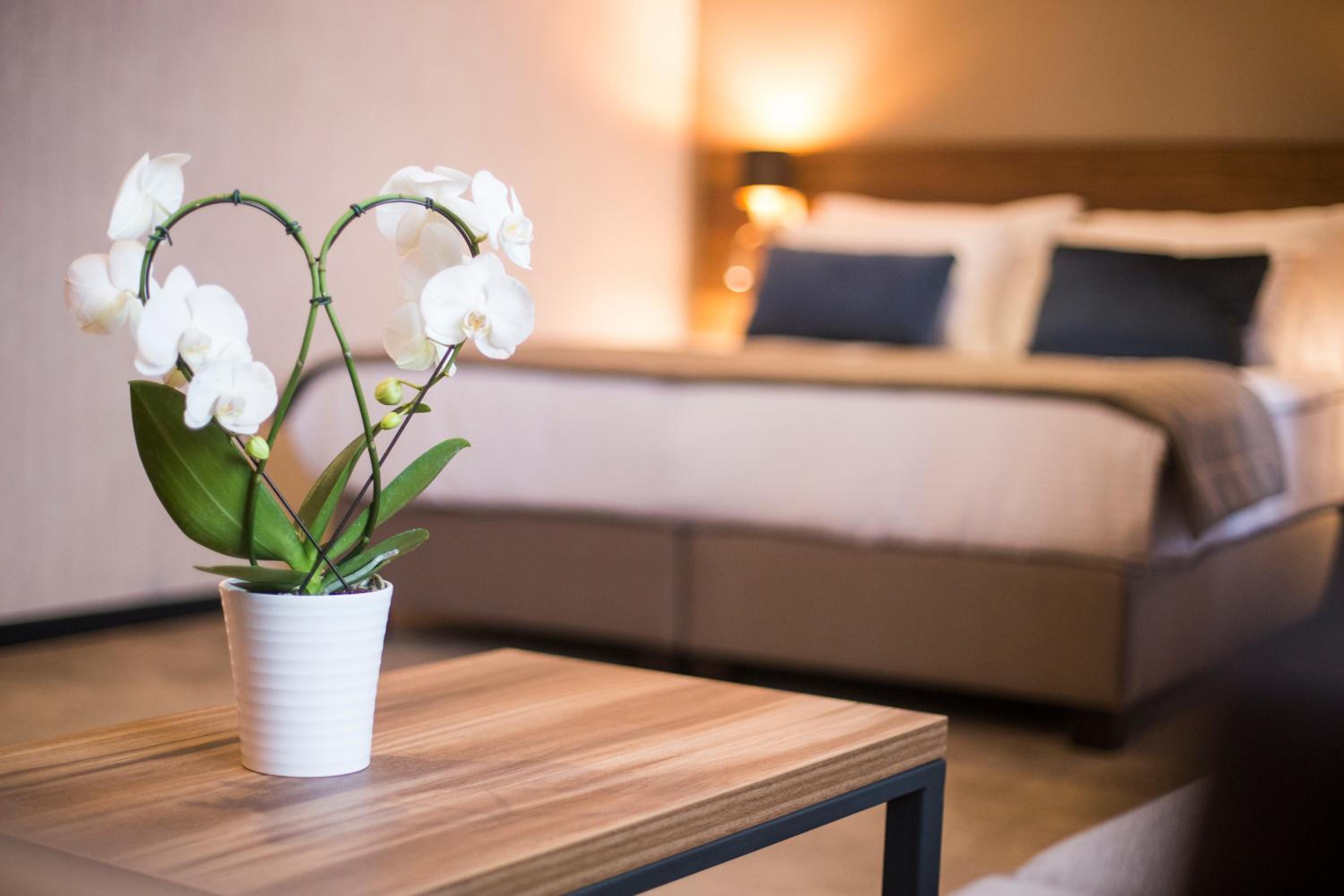 Superior Double or Twin Room with Garden View photo 2