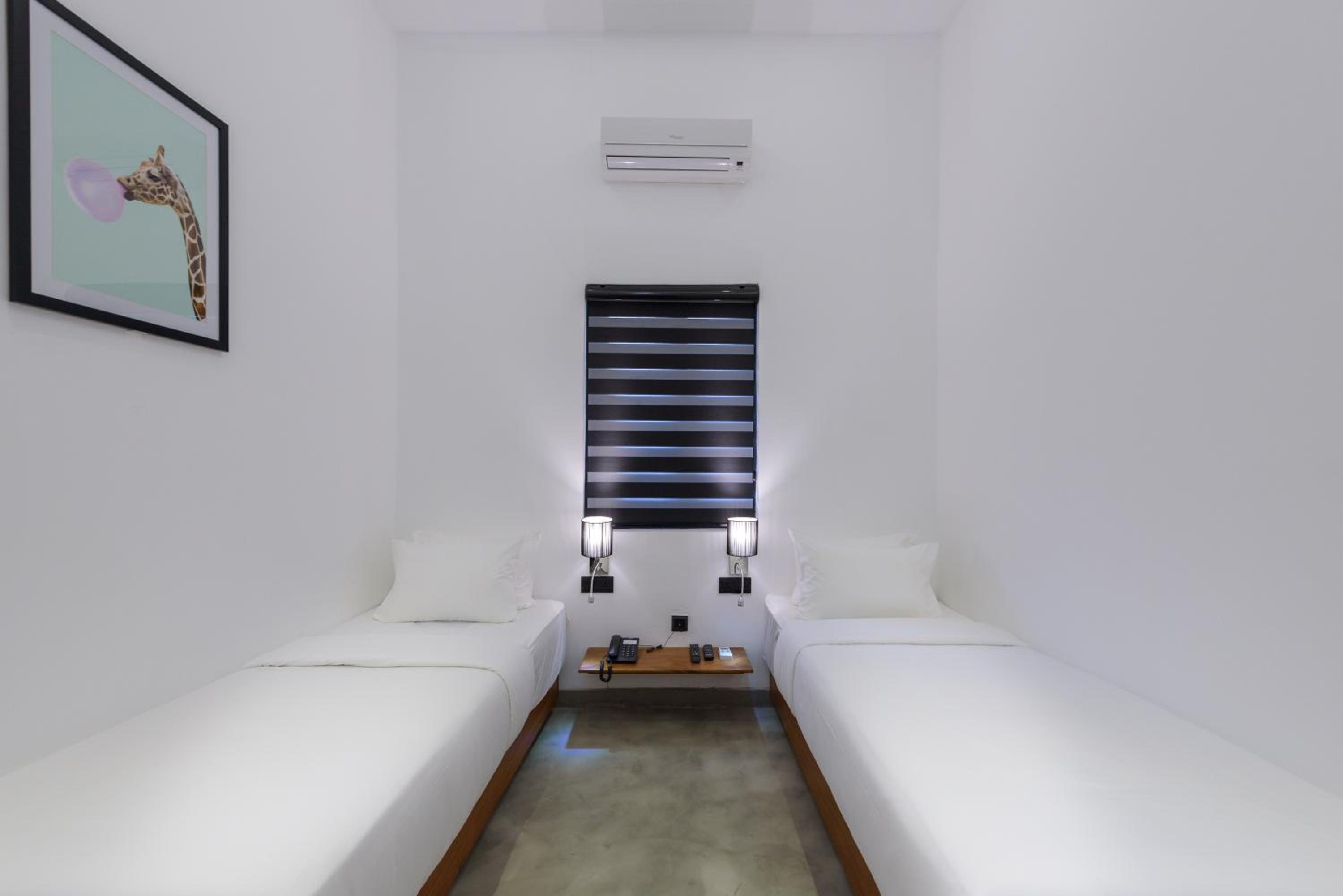 Deluxe Twin Room photo 2