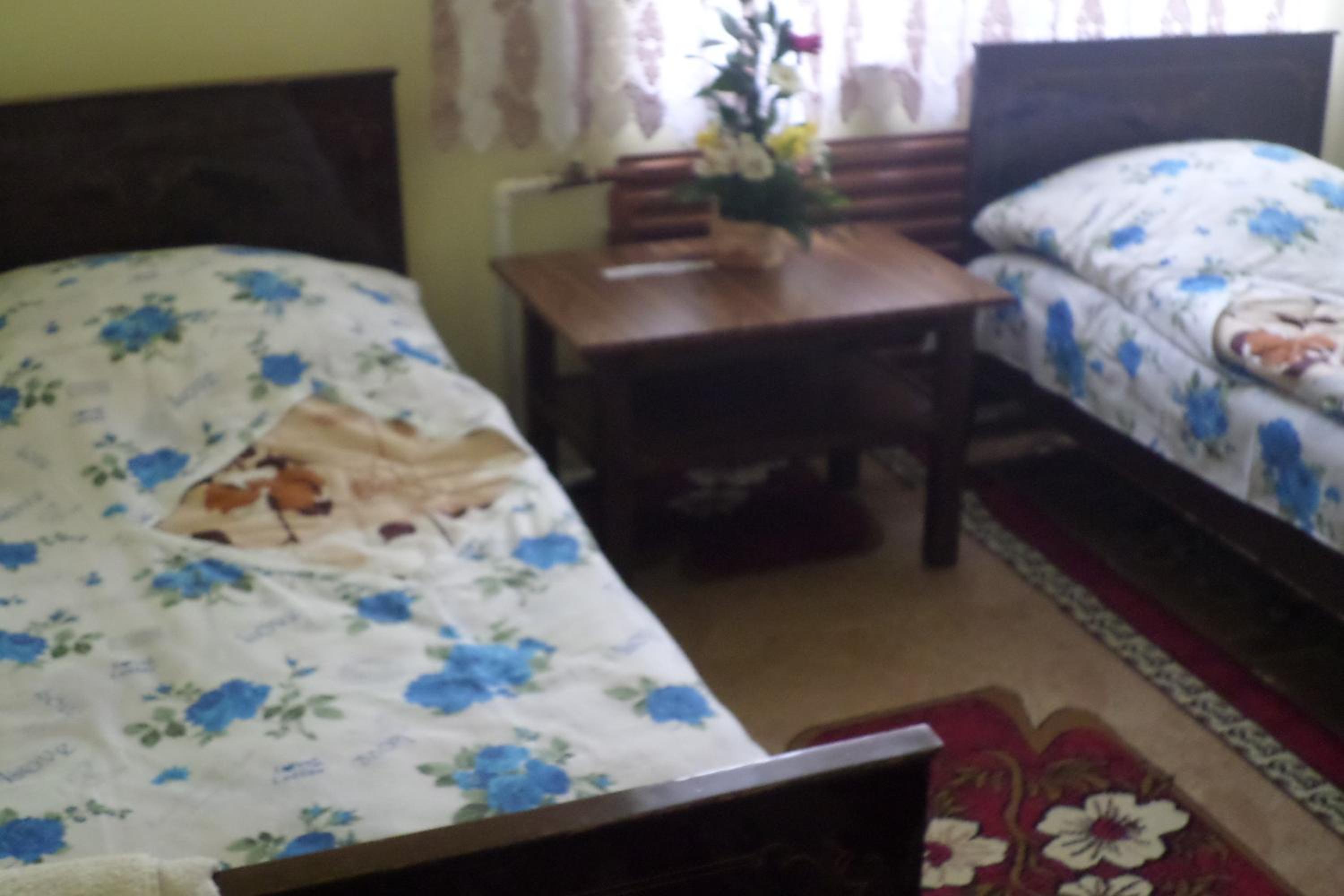 Large Twin Room photo 3