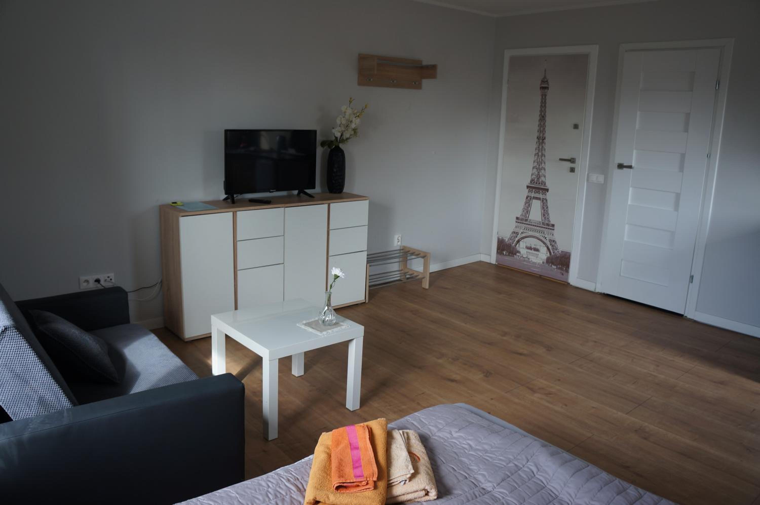 Studio Apartment photo 3