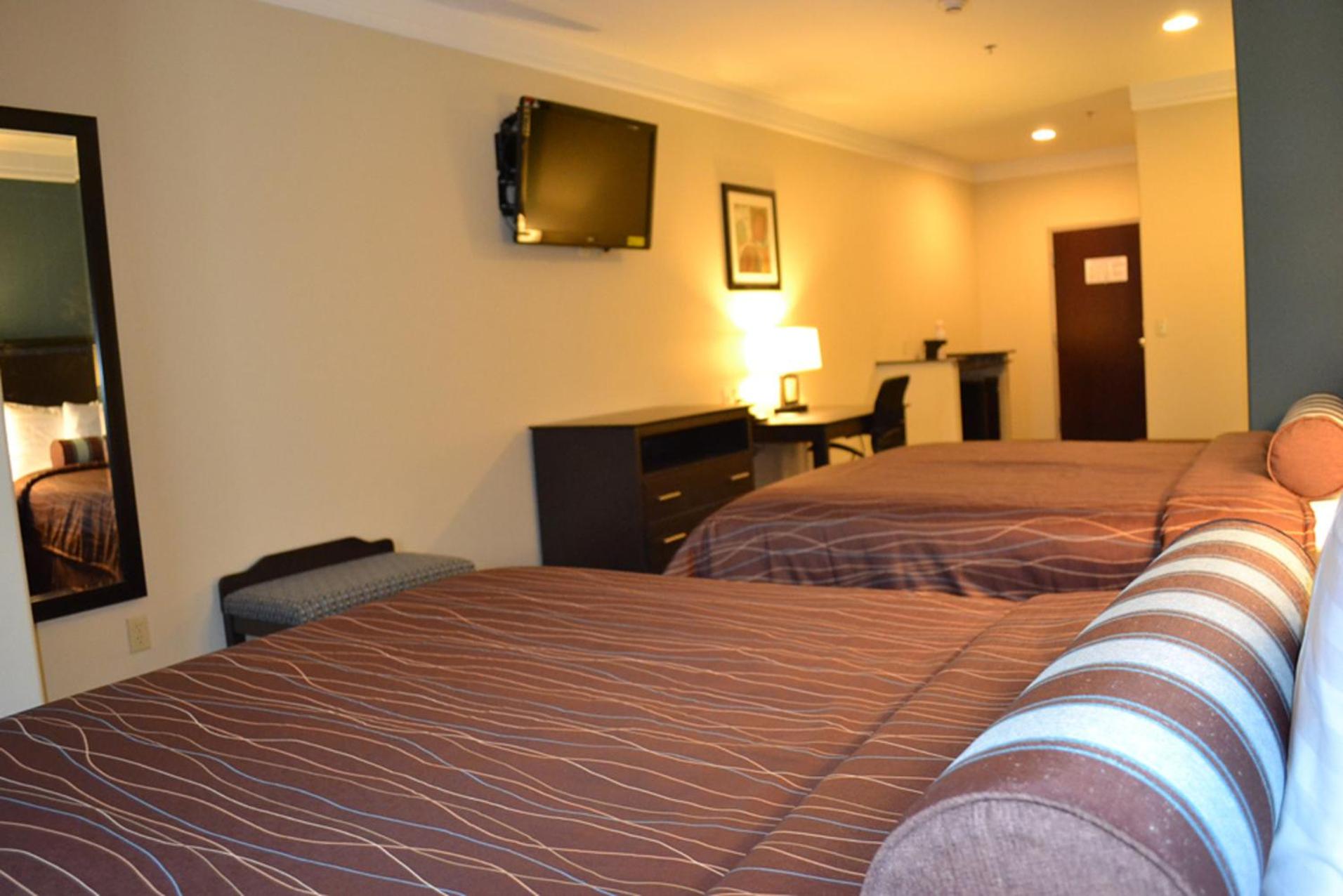 Queen Suite with Two Queen Beds photo 1