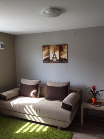 Studio with Terrace photo 2