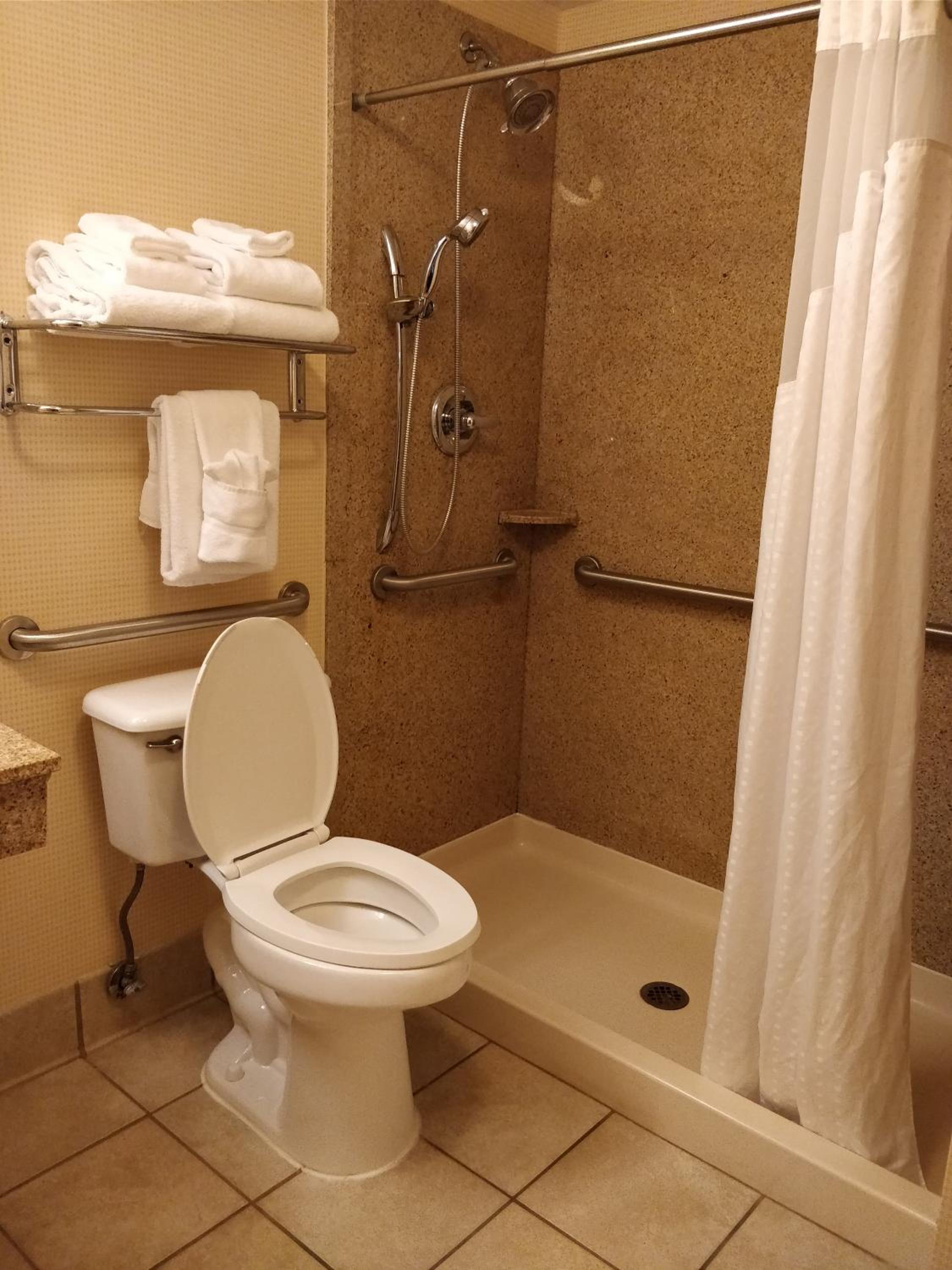 Queen Room with Accessible Transfer Shower - Non-Smoking - Photo 2
