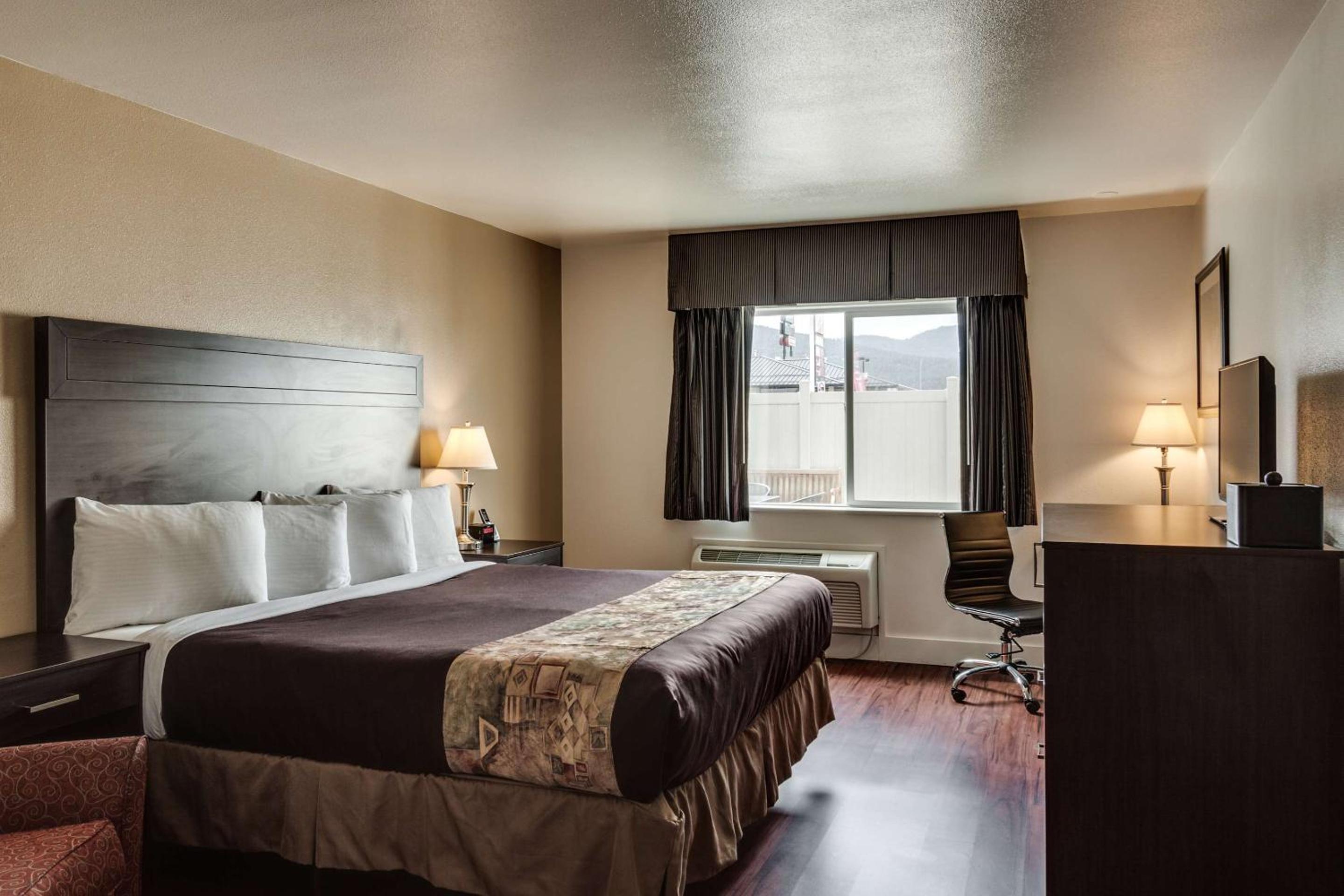 King Room -Pet Friendly photo 1