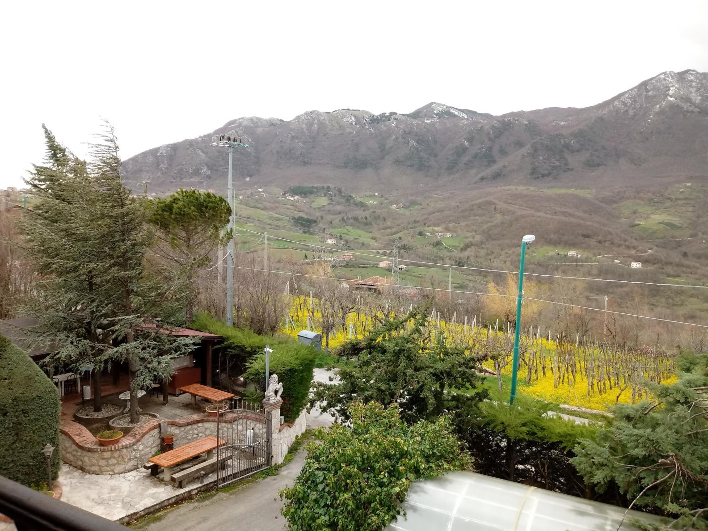 Studio with Mountain View - Photo 56