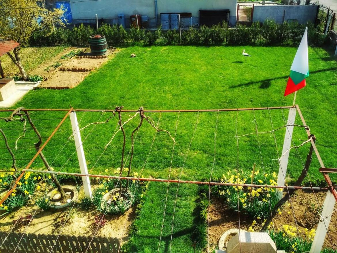 Triple Room with Terrace photo 3