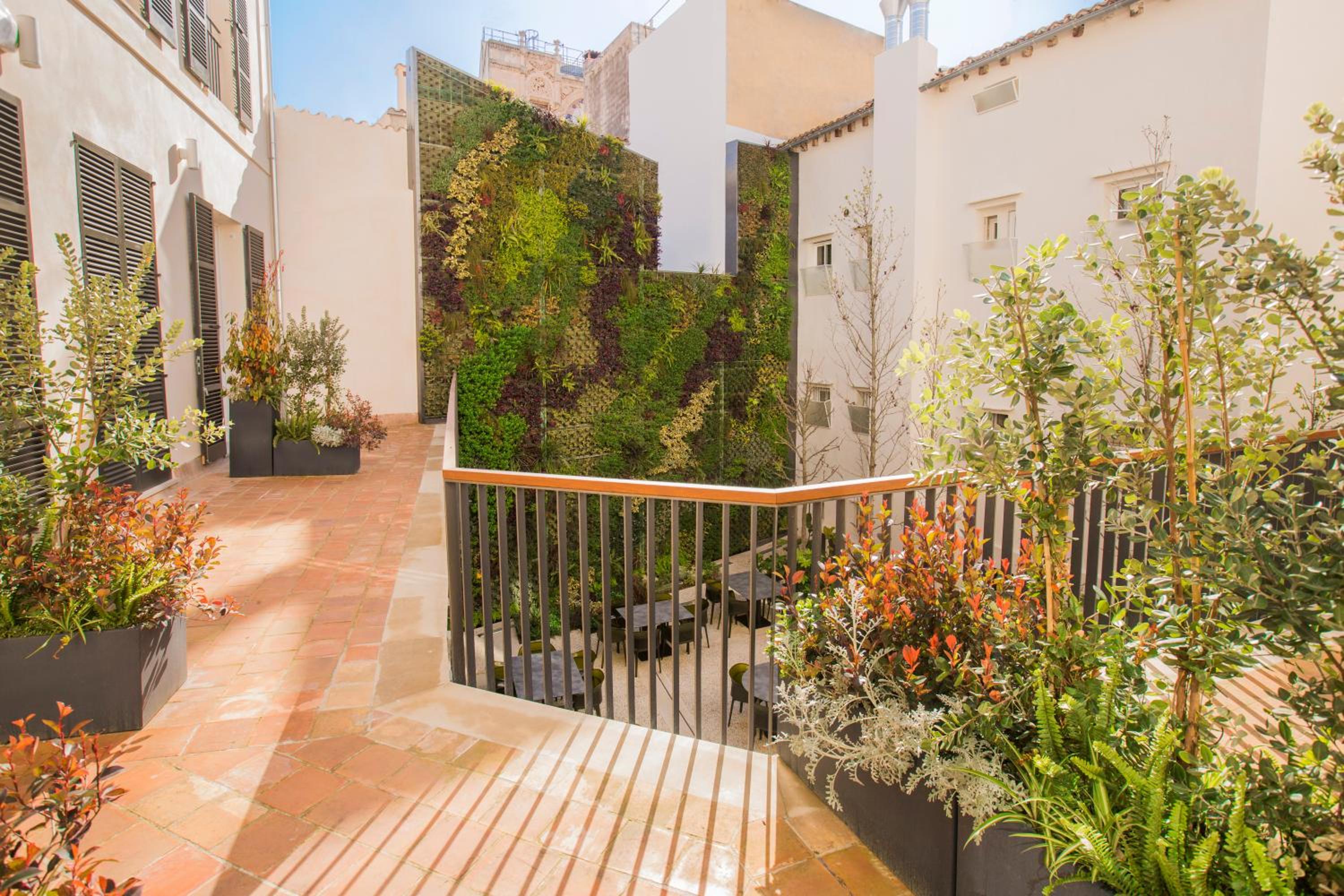 Double Room with Terrace photo 3