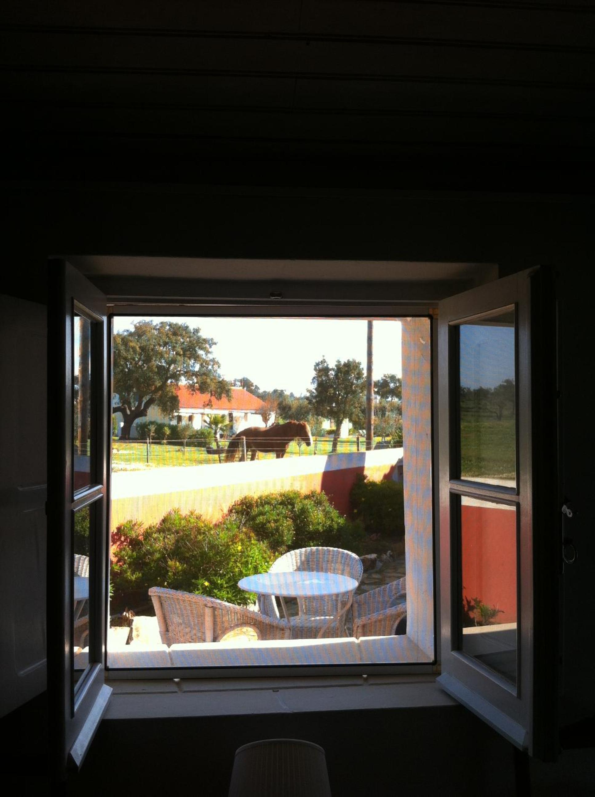 Family Room with Terrace - Photo 4