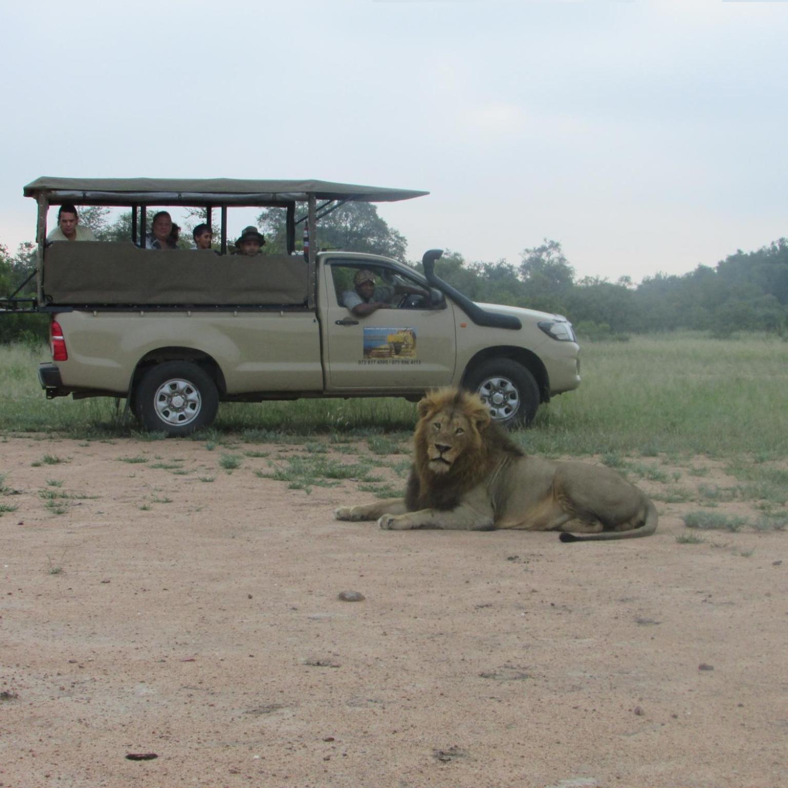 Deluxe Tent with Game Drive - Photo 17