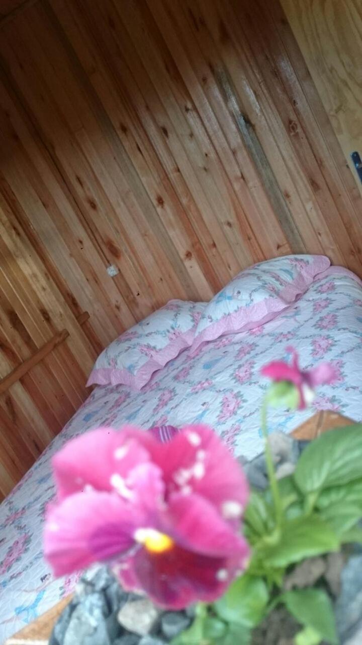 Two-Bedroom Chalet photo 3