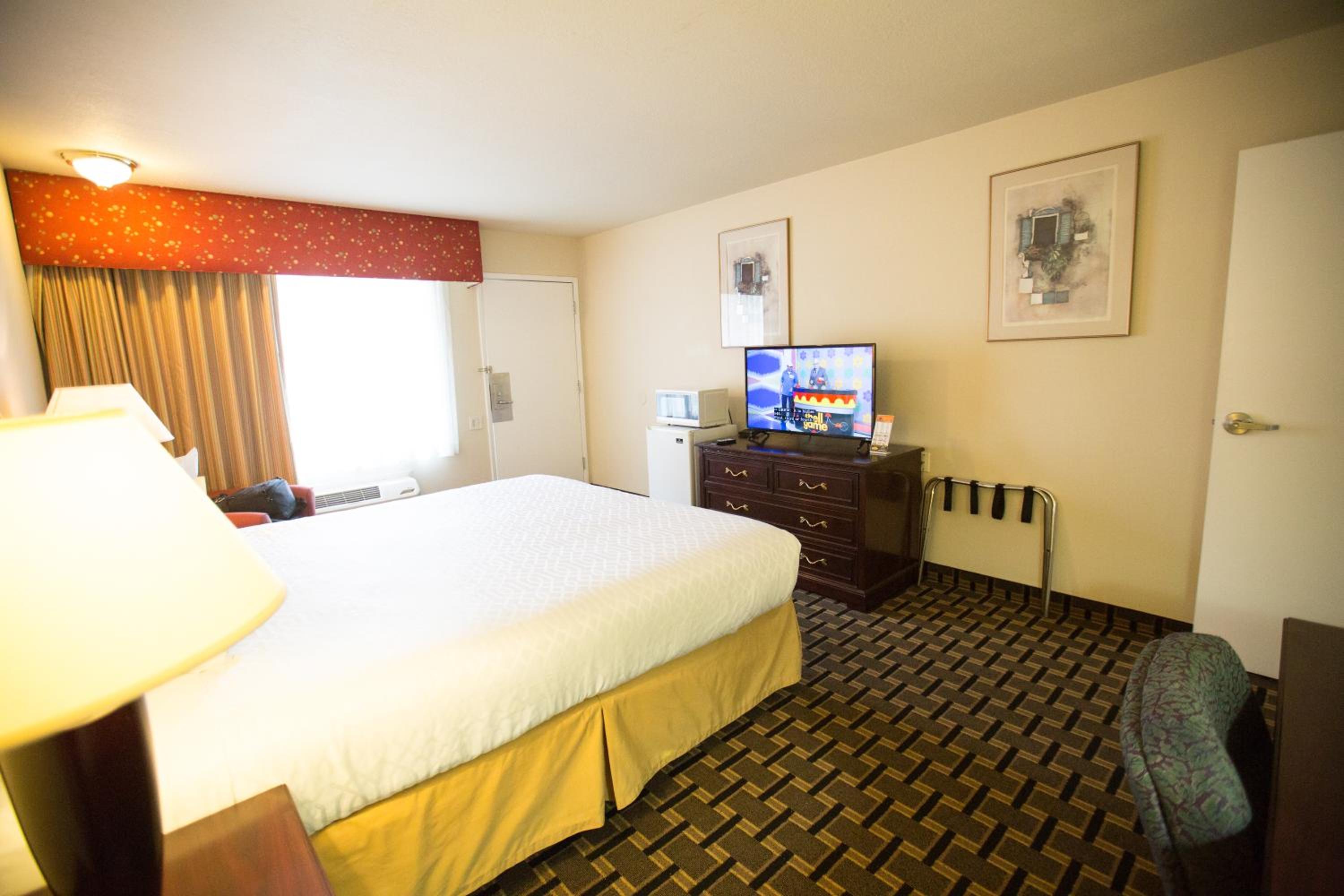 Standard King Room - Photo 7
