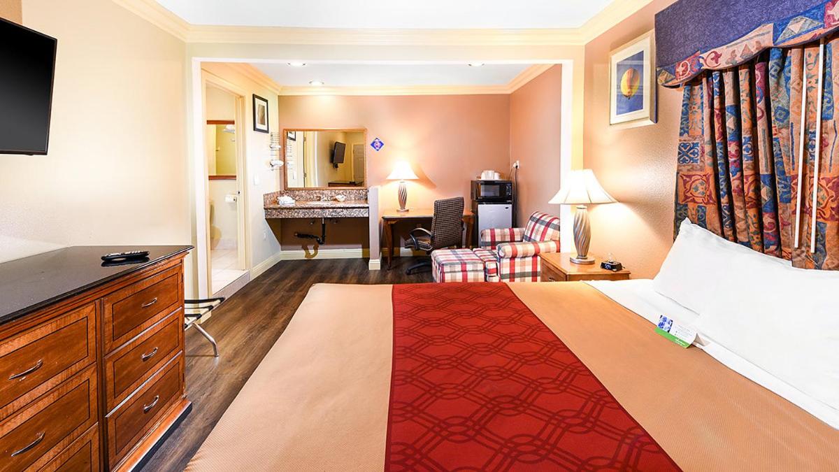 King Room photo 1