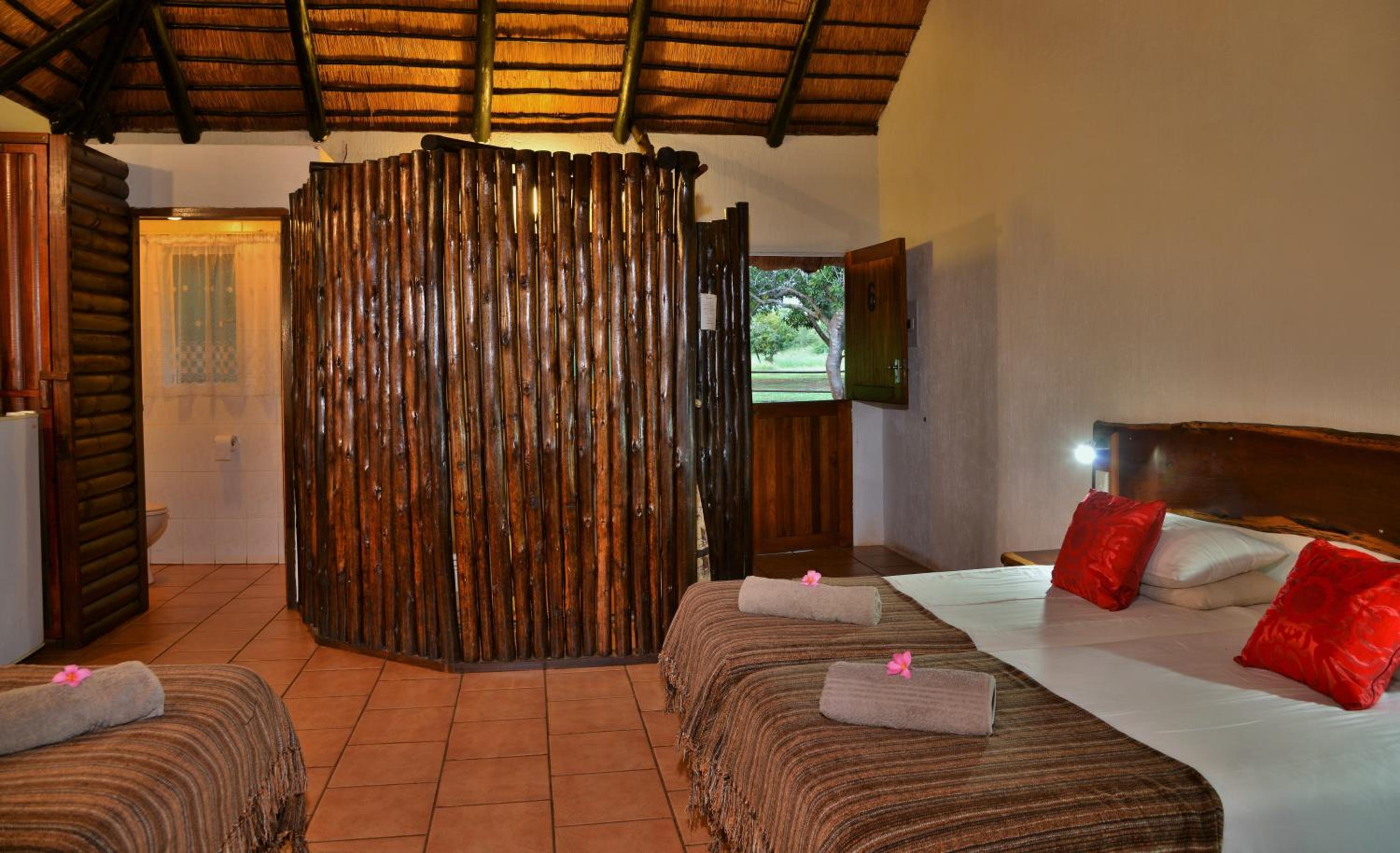 Ingwe photo 1
