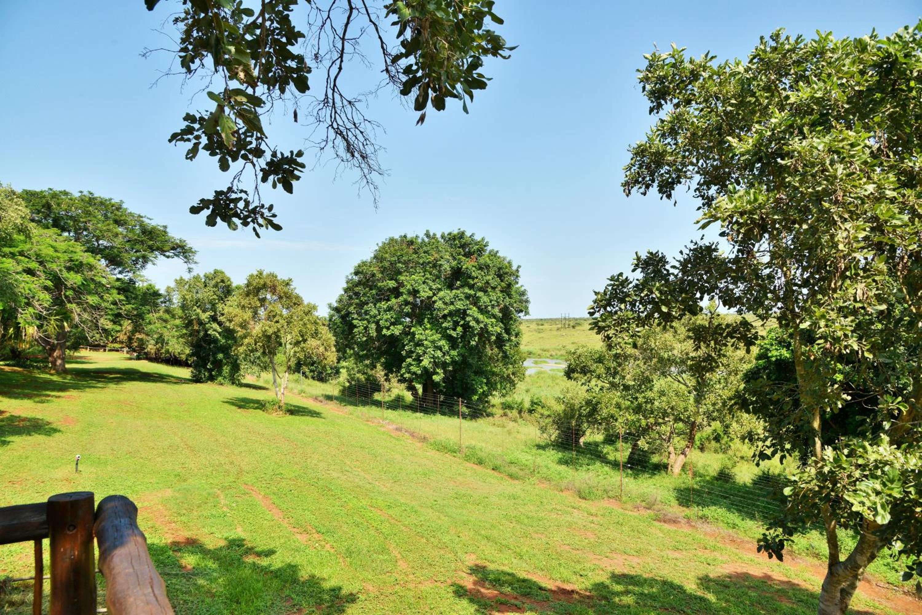 Imvubu photo 3